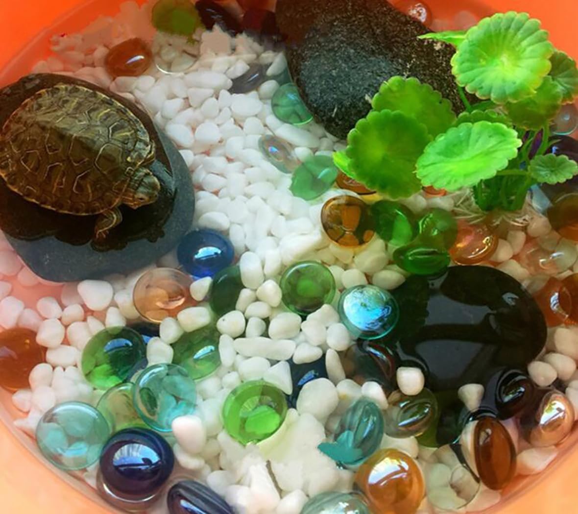 KINGOU Flat Glass Gems/Marbles/Stones/Beads for Vase Filler, Table Scatter, Games - 1 Lbs (17-19mm, Approx. 3/4")-Amber