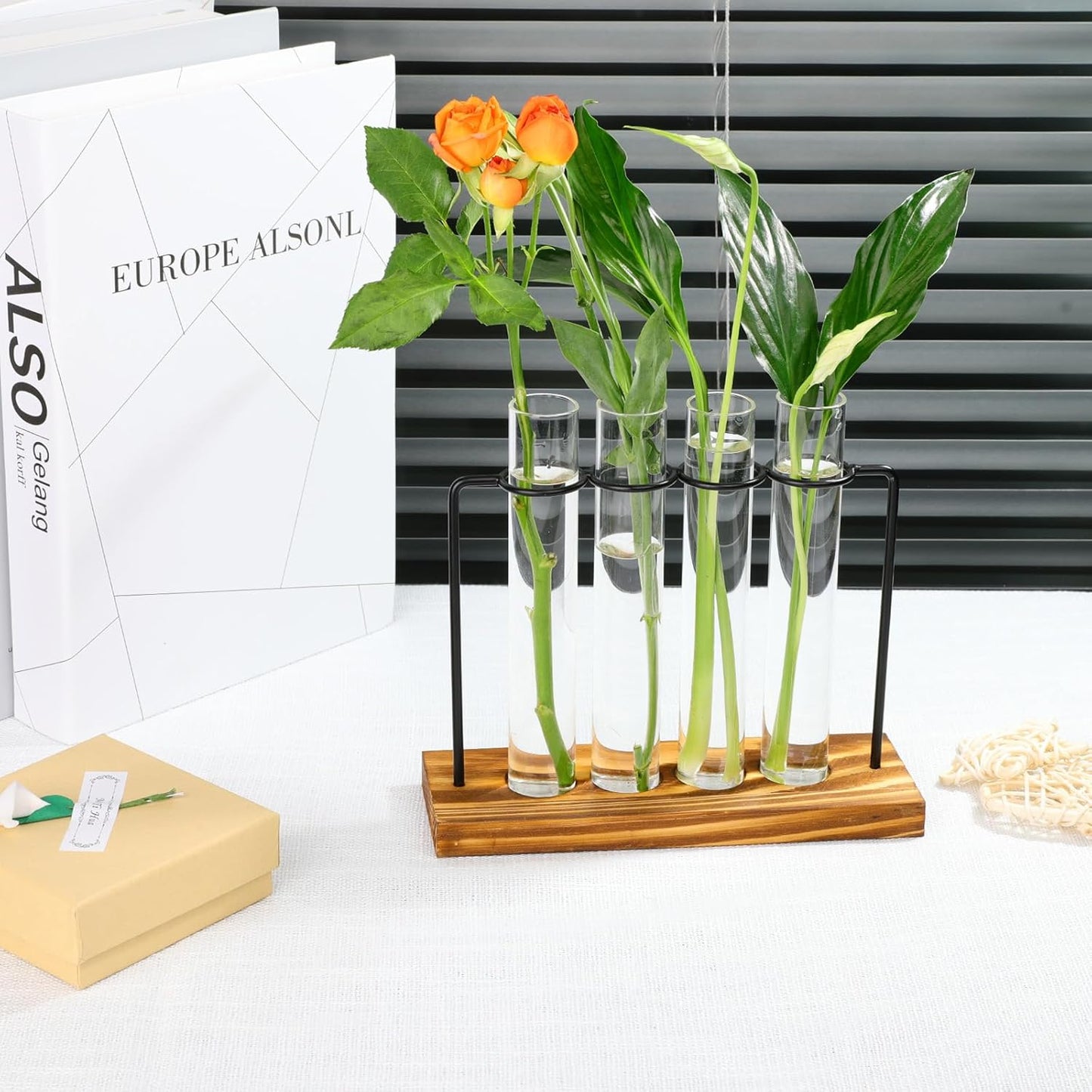 Plant Propagation Station, Glass Tubes for Indoor Hydroponic Plants & Flower Stems, Home/Office Decor, Birthday Gifts for Women, Gardening Gifts for Mom