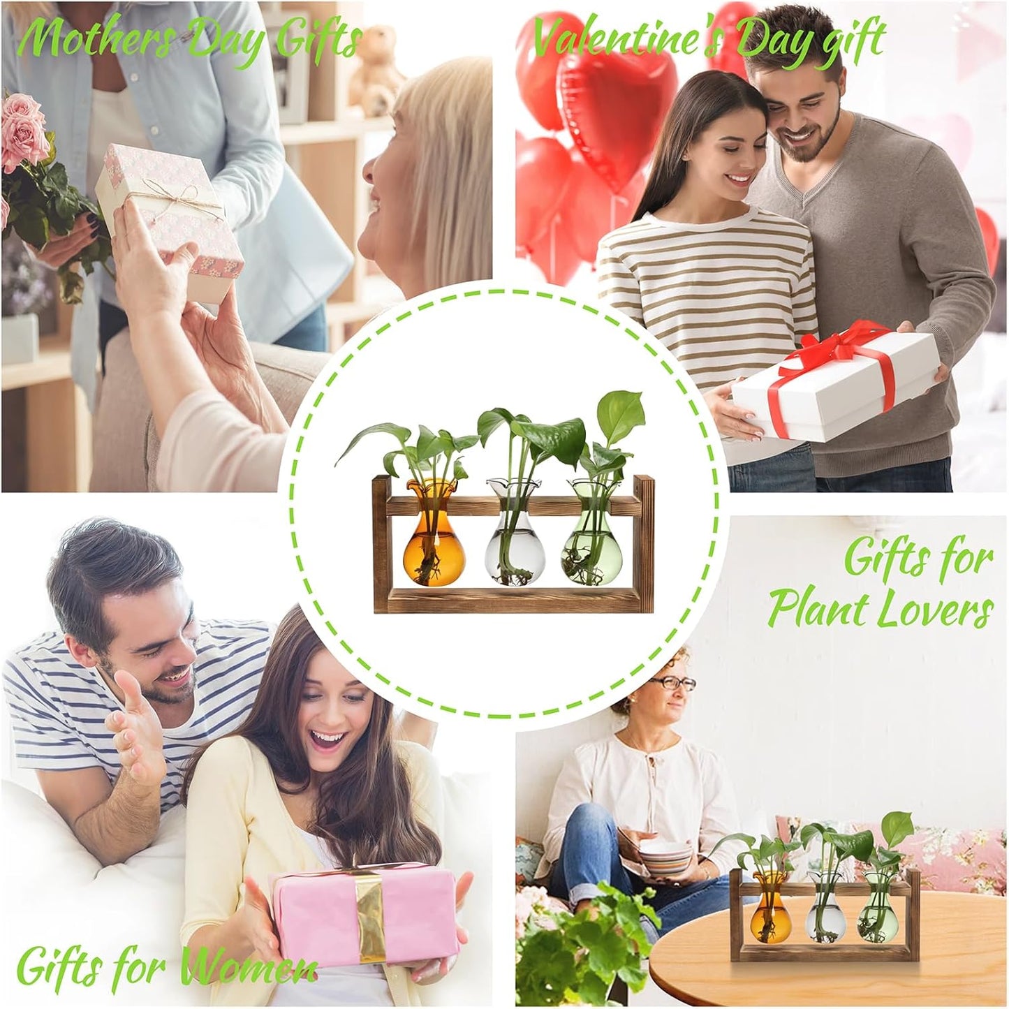 Plant Propagation Station Plant Terrarium Unique Birthday Gifts for Women Home Office Decor Planter with Wooden Stand - 3 Bulb Glass Vase