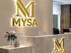 Custom Business Backlit Sign Custom Illuminated Backlit/Frontlit Channel Letters for Business Logo Signs-Professional Grade LED Indoor/Outdoor 3D Retail Store Front Signage-Stainless Steel Acrylic Branding Signs