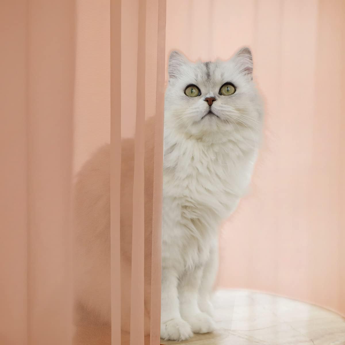 Window Brown Sheer Curtains 60 x 95 Inches 2 Panels - Rod Pocket Clear Curtains for Living Room, Bedroom, Kids Room, Yard, Patio, Parlor, Sliding