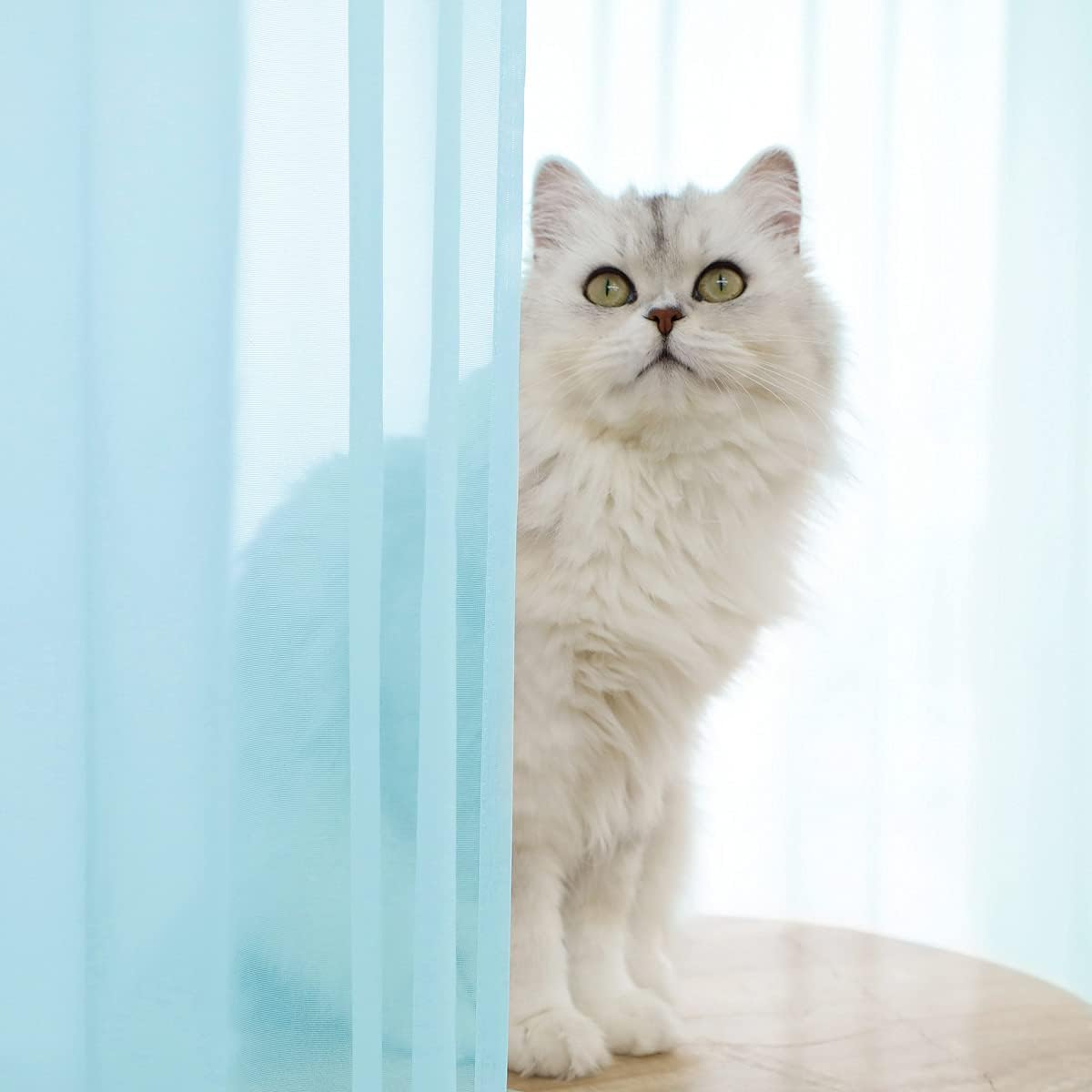 Window Lake Blue Sheer Curtains 48 Inches Width 72 Inches Long 2 Panels Sheer Curtain Clear Curtains Basic Rod Pocket Panel for Home Living Room Bedroom Kids Room Yard Patio Parlor Sliding