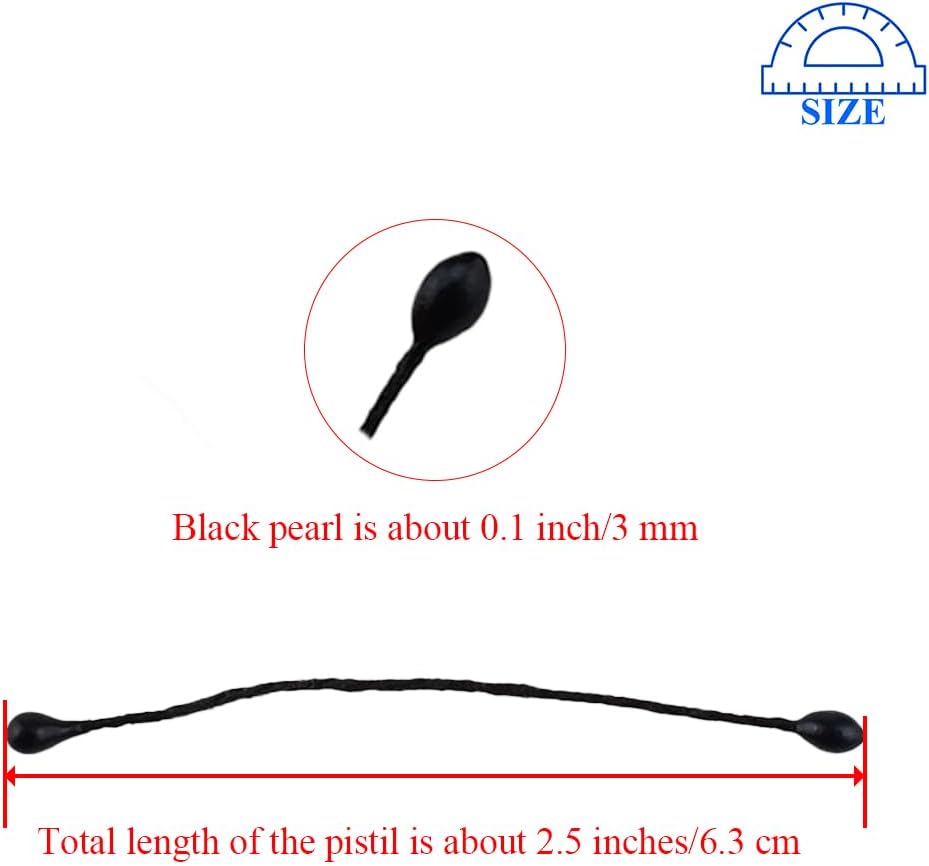 HAHIYO 700Pcs 3mm Fully Black Pearl Double Head Flower Pistil Handmade Artificial Pistil para Flore Pearlized Floral Stamen Pollen for Flower Making Scrapbook Decoration