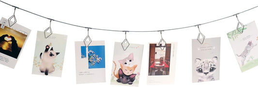 TFu Wall Hanging Photo Display, DIY Picture Photo Frame String with 12 Clips for Hanging Photos Notes and Artworks …
