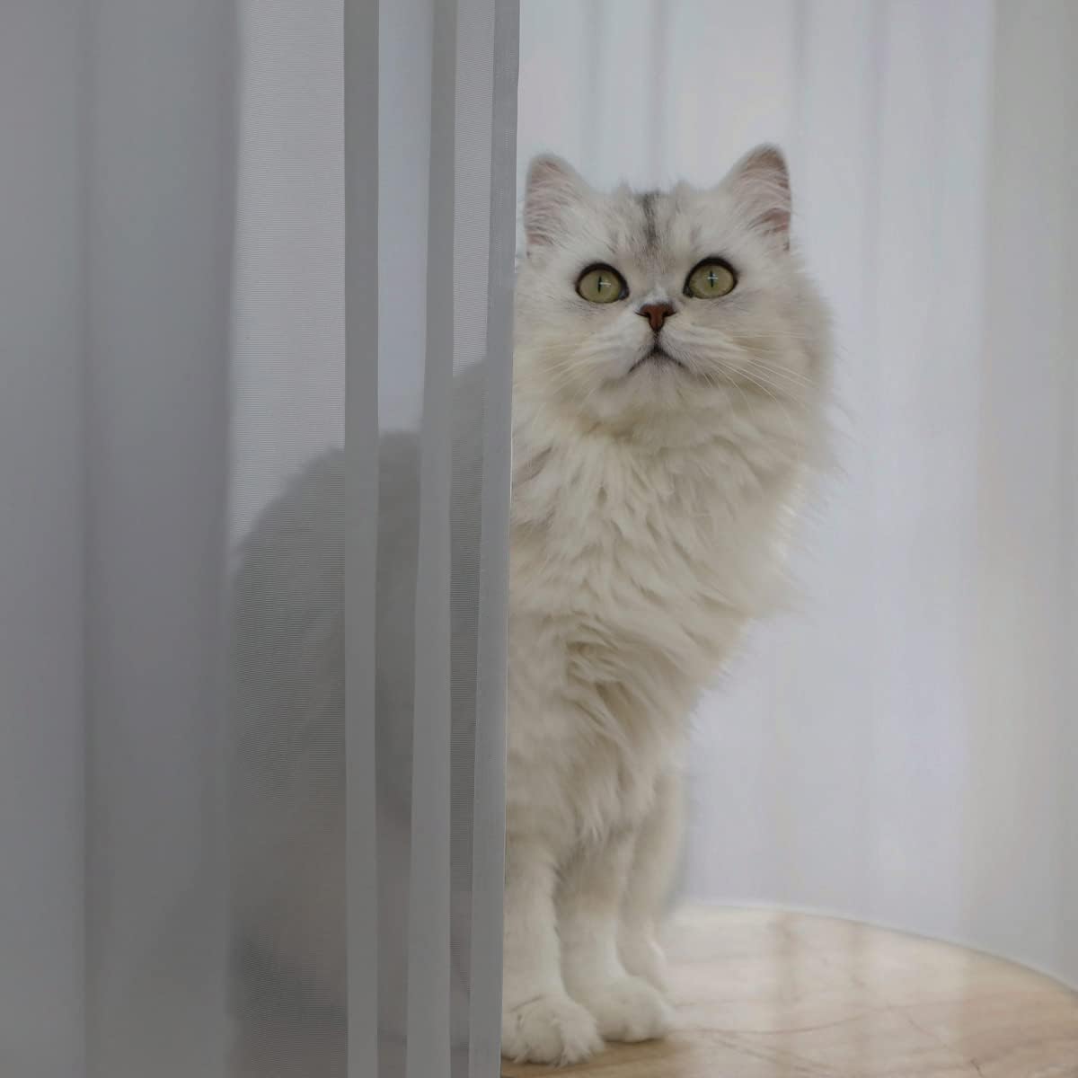 Window Gray Sheer Curtains 130 Inches Long 2 Panels Sheer Curtain Basic Rod Pocket Panel for Bedroom Children Living Room Yard Kitchen (Gray, 52" W x 130" L | 2 pcs)