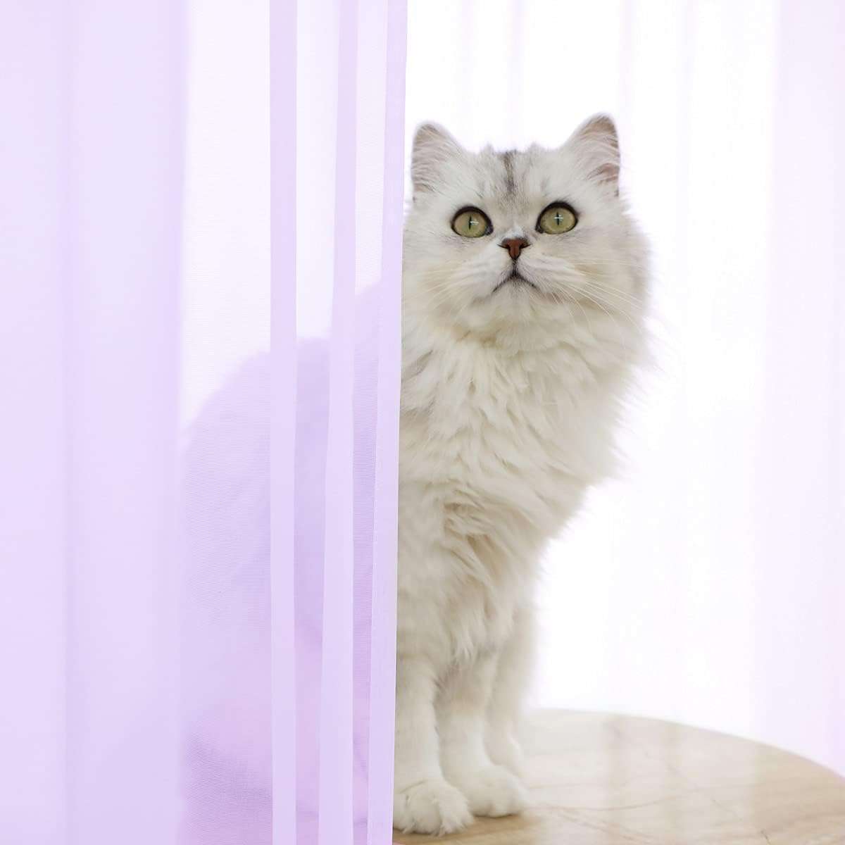 Purple Sheer Curtains 60 Inches Width 84 Inches Long 2 Panels - Clear Basic Rod Pocket Panel for Home Living Room Bedroom Kids Room Yard Patio Parlor Sliding Window