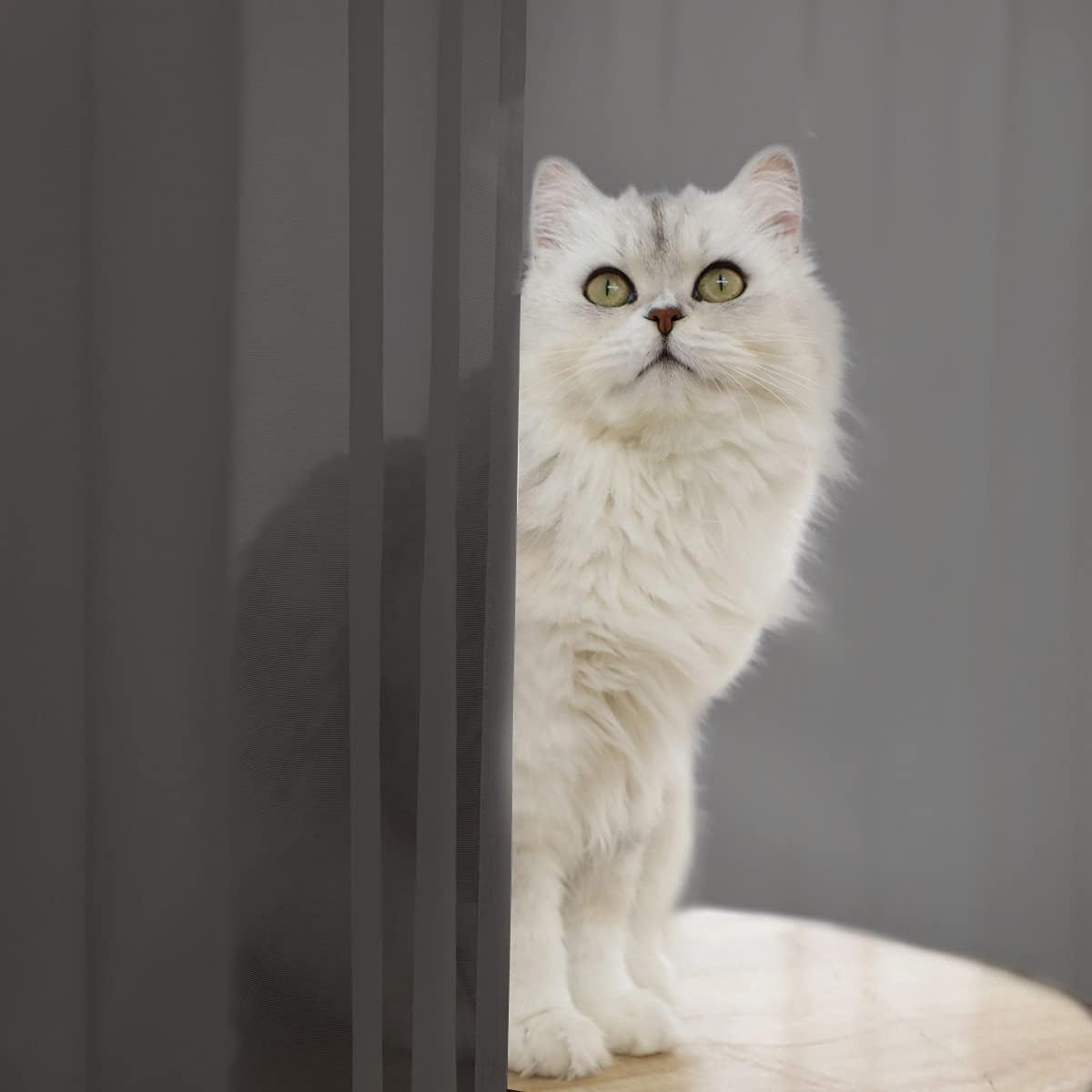 Window Dark Grey Sheer Curtains 60 Inches Width 145 Inches Long 2 Panels Sheer Curtain Clear Curtains Basic Rod Pocket Panel for Home Living Room Bedroom Kids Room Yard Patio Parlor Sliding