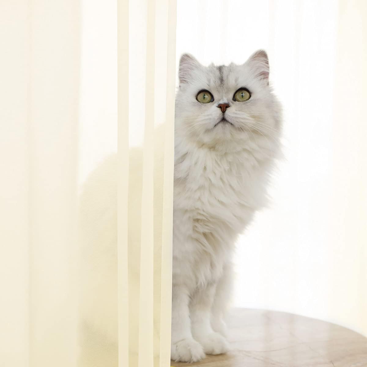 Window Light Yellow Sheer Curtains 108 Inches Long 2 Panels Sheer Curtain Basic Rod Pocket Panel for Bedroom Children Living Room Yard Kitchen