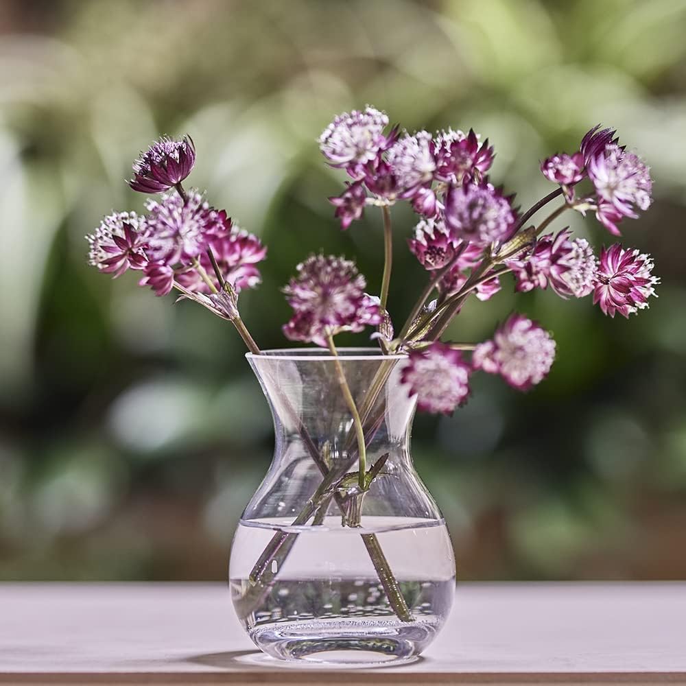 CHIVE ‘George’ Glass Bottle Flower Vases — Set of 6 — Small, Elegant Clear Glass Bud Vases — Bulk Pack for Home Decor & Table Centerpieces — Shape 4 (Oval, 4” Tall, 3” Wide)