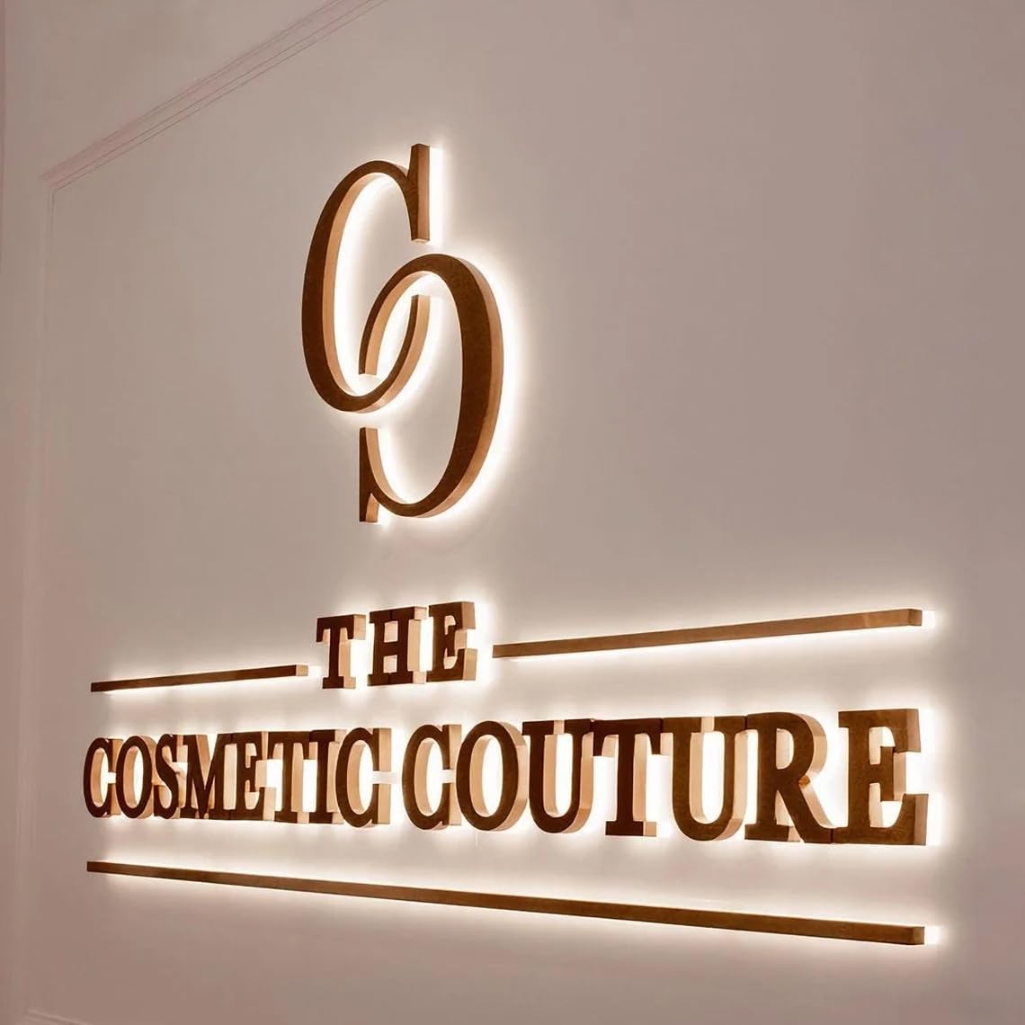 Custom Business Backlit Sign Custom Illuminated Backlit/Frontlit Channel Letters for Business Logo Signs-Professional Grade LED Indoor/Outdoor 3D Retail Store Front Signage-Stainless Steel Acrylic Branding Signs