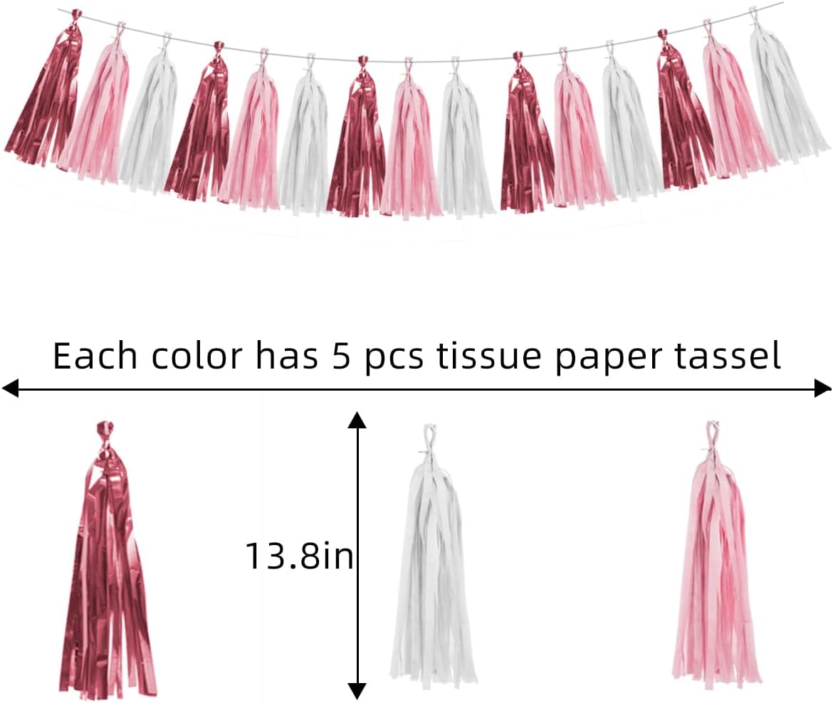 Rose-Gold Pink White Party Decorations - 15Pcs Tissue Paper Tassel Garland Birthday Decorations Valentines Day Decorations Baby Girl Shower Women Bridal Wedding Engagement Bachelorette HongTongTong