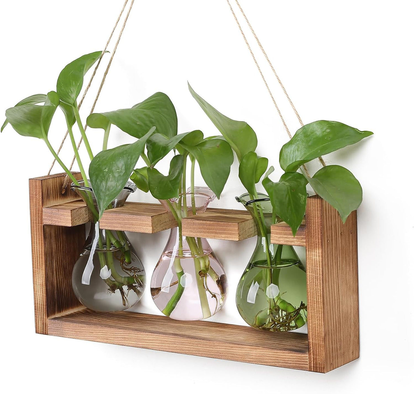 Plant Propagation Station Plant Terrarium Unique Birthday Gifts for Women Home Office Decor Planter with Wooden Stand - 3 Bulb Glass Vase