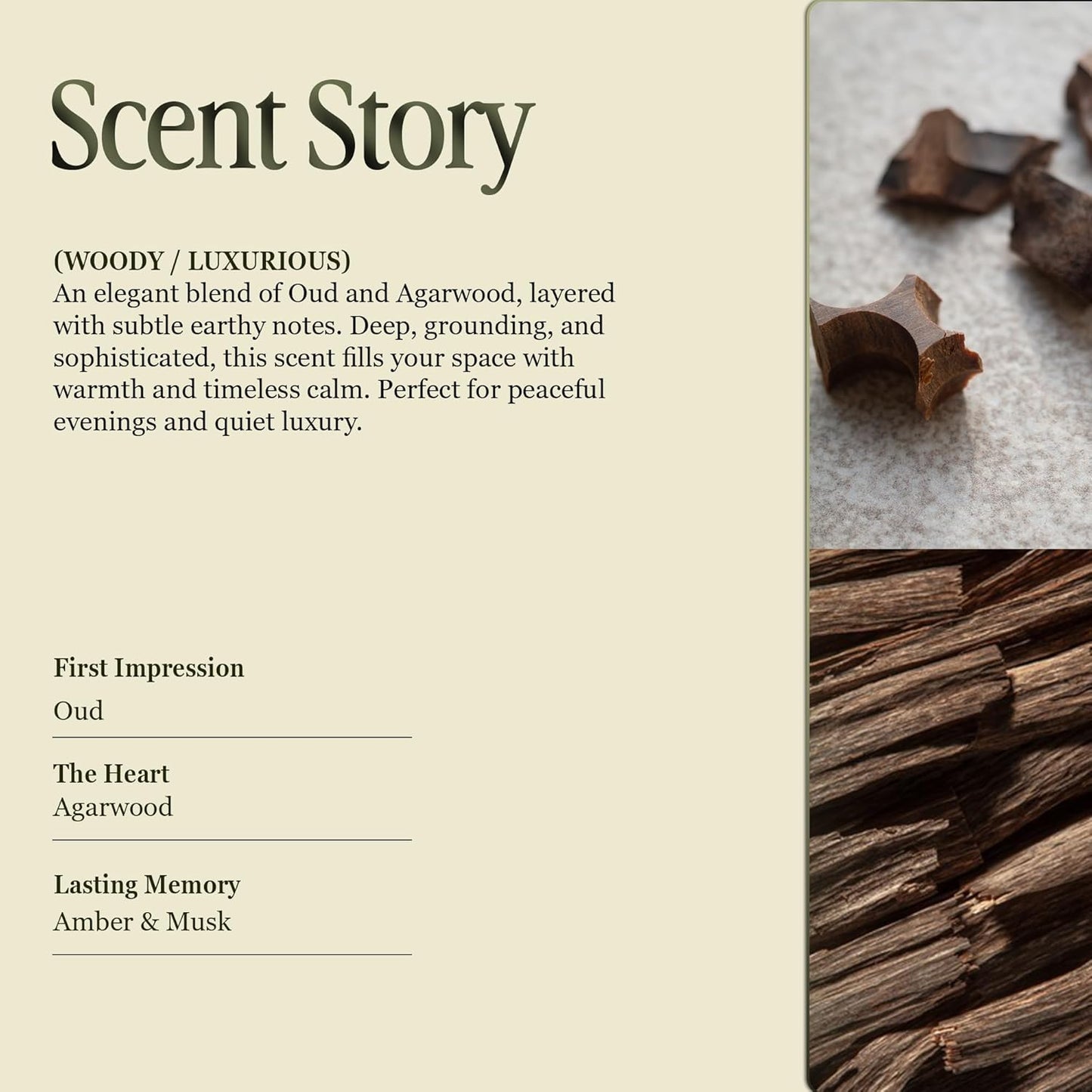 Scented Luxury Candles in Handmade Ceramic Jars, Soy Wax | Woody Wood – Oud & Agarwood, Large Candle | Non Toxic, 2 Wicks, Reusable Big Olive Green Jar | Natural Spring Aromatherapy for Women & Men