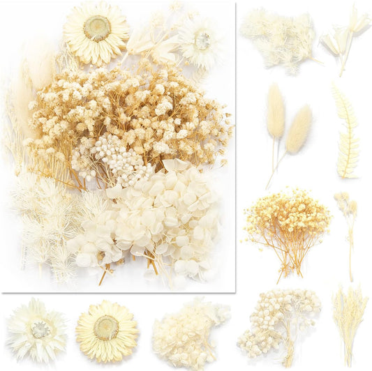Vignee Real Dried Pressed Leaf Flowers-Multiple Colorful Pressed Flowers Daisies for Craft Resin Jewelry Making Art Craft DIY（White）