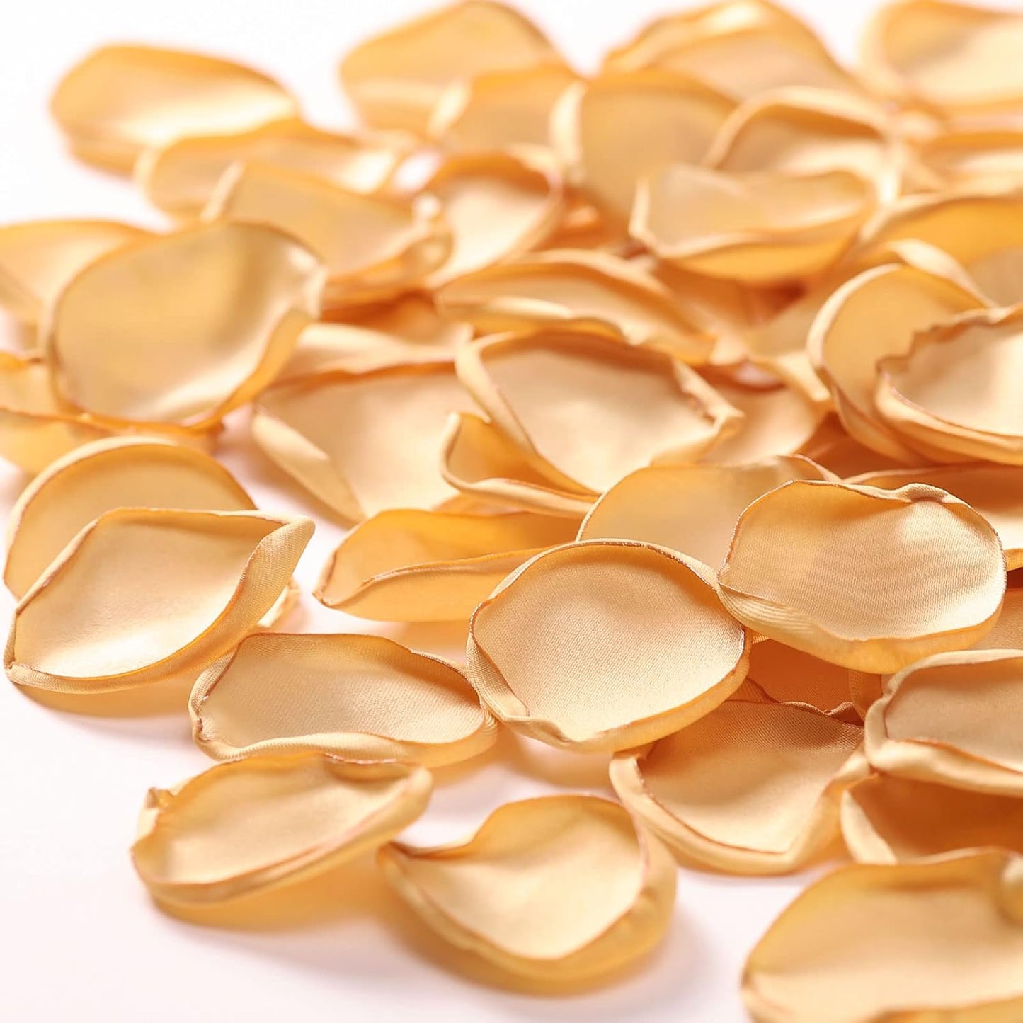 TINGE TIME Silk Rose Petals Flower Petals for Wedding Flower Girl Basket Aisle Scatter Dinner Table Centerpieces Party Confetti Bridal Shower Romantic Night Decoration (Champagne)