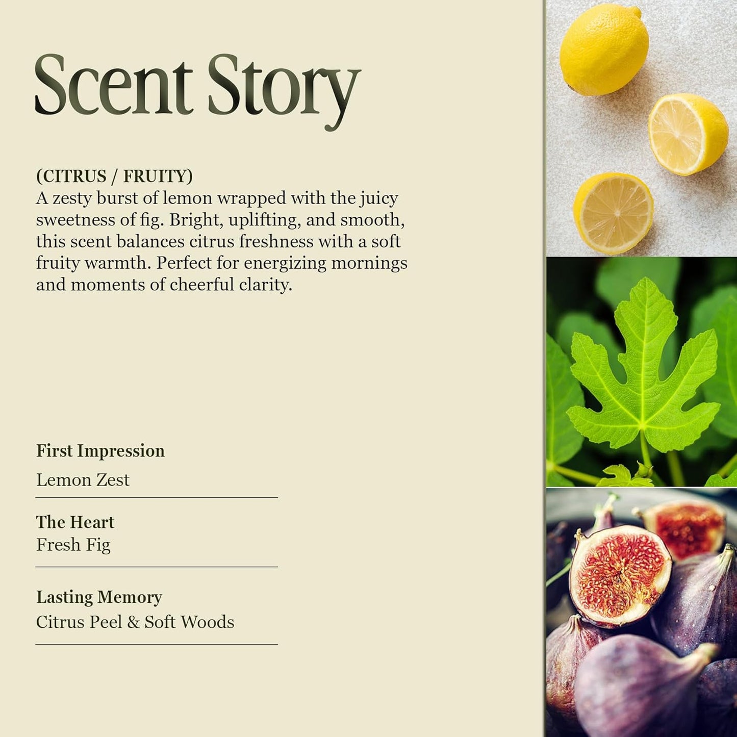 Scented Luxury Citronella Candles outdoor, Mosquito Bug Repellent | Handmade Ceramic Jars, Soy Wax | Cloudy Pillow - Fig Leaf & Lemon, Large Natural Candle | Non Toxic, 2 Wicks, Reusable Big Beige Jar