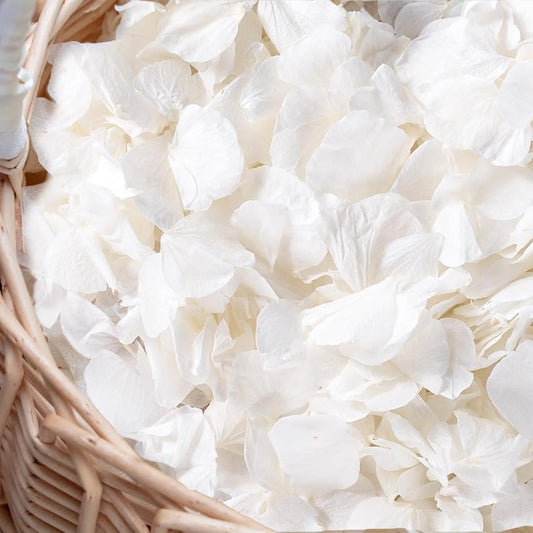 3000+Pcs Real Ivory White Dried Hydrangea Flower Petals - 100% Natural Creamy White Flower Petals for Wedding Confetti, Romantic Night Decor, DIY Handcrafts (2.12oz)