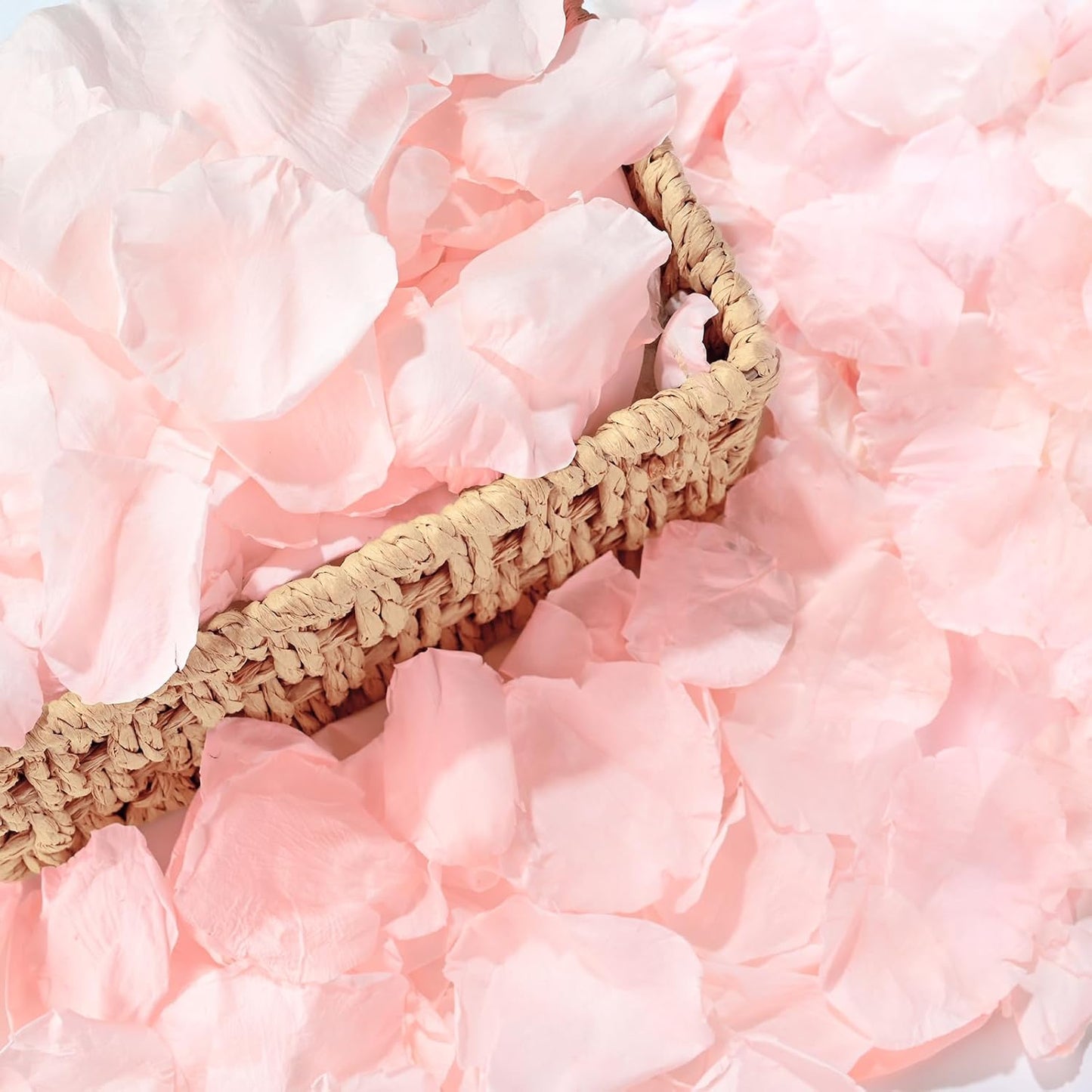 380 Pieces Real Light Pink Rose Petals Dried Rose Flower Petals for Wedding Will You Marry Me, Valentine's Day, Romantic Night,Wedding, Proposal, Anniversary, Event, Party, Special Night Decorations