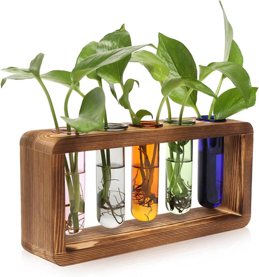 Glass Plant Propagation Station with 5 Test Tubes Colorful Planter Vase Birthday Gifts for Women in Wooden Stand