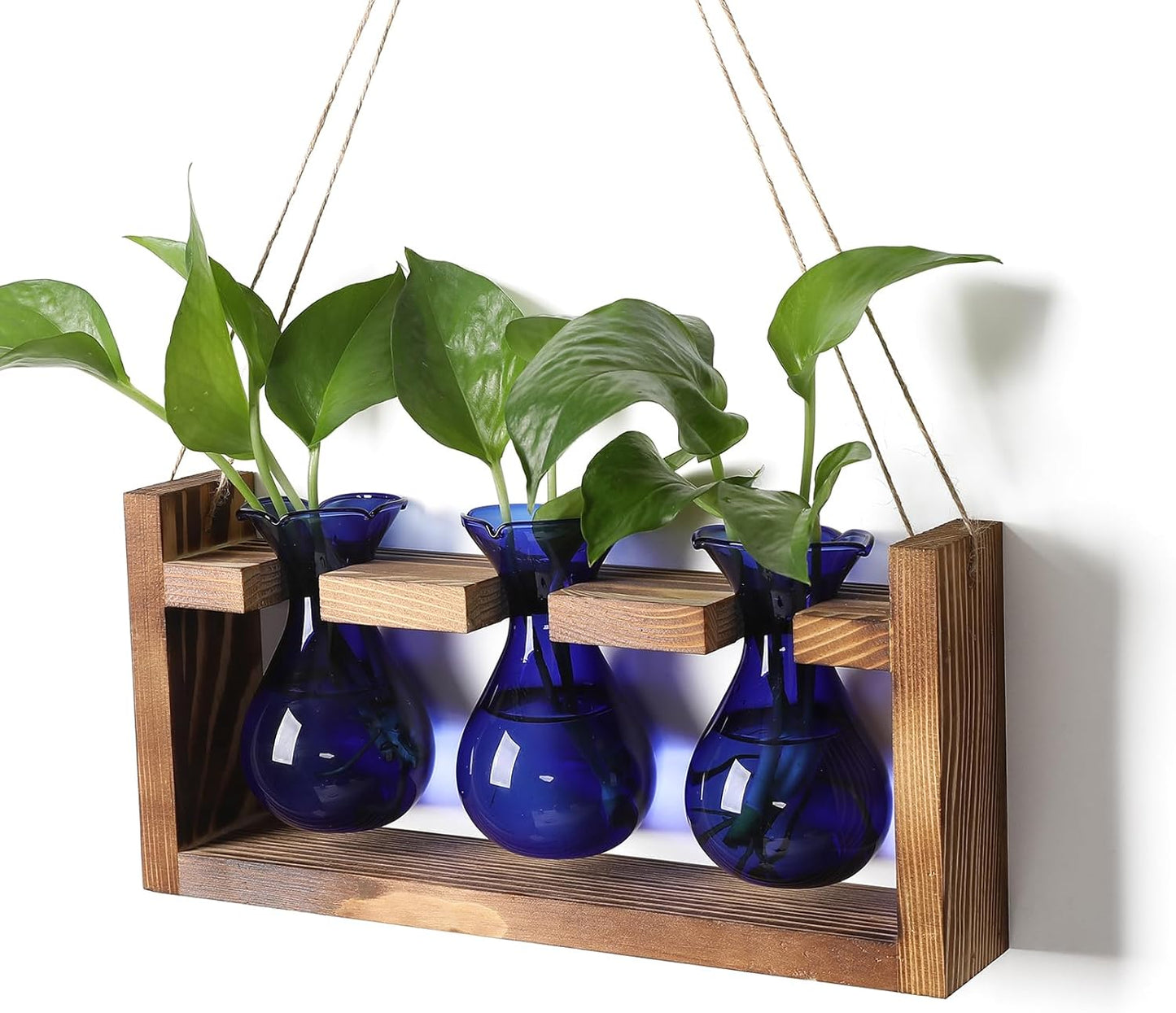 Plant Propagation Station Plant Terrarium Unique Birthday Gifts for Women Home Office Decor Planter with Wooden Stand - 3 Bulb Glass Vase
