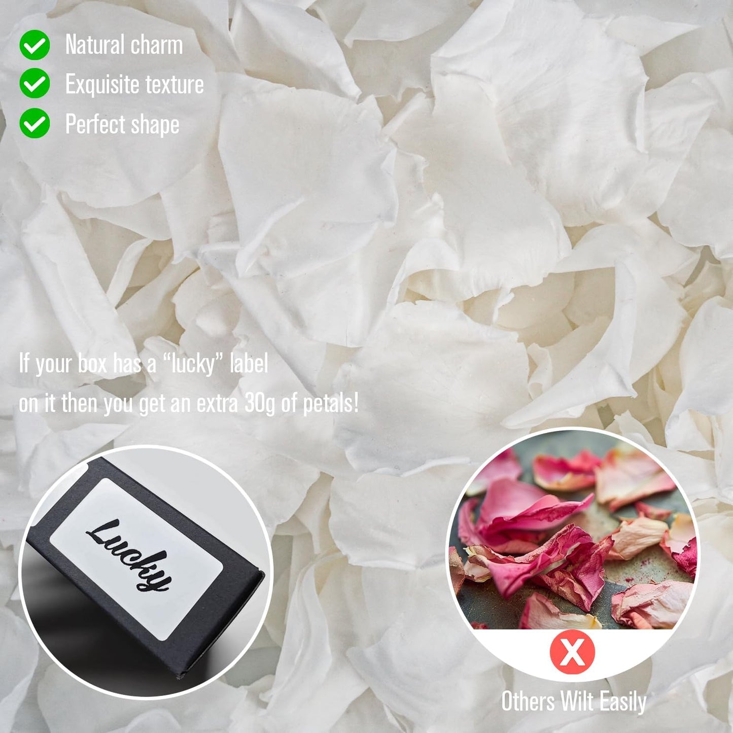 Rosaura Real Preserved Rose Petals 50g(1.75oz) for Wedding Decor, Romantic Nights - Includes Bonus Lucky Surprise Pack! (White)