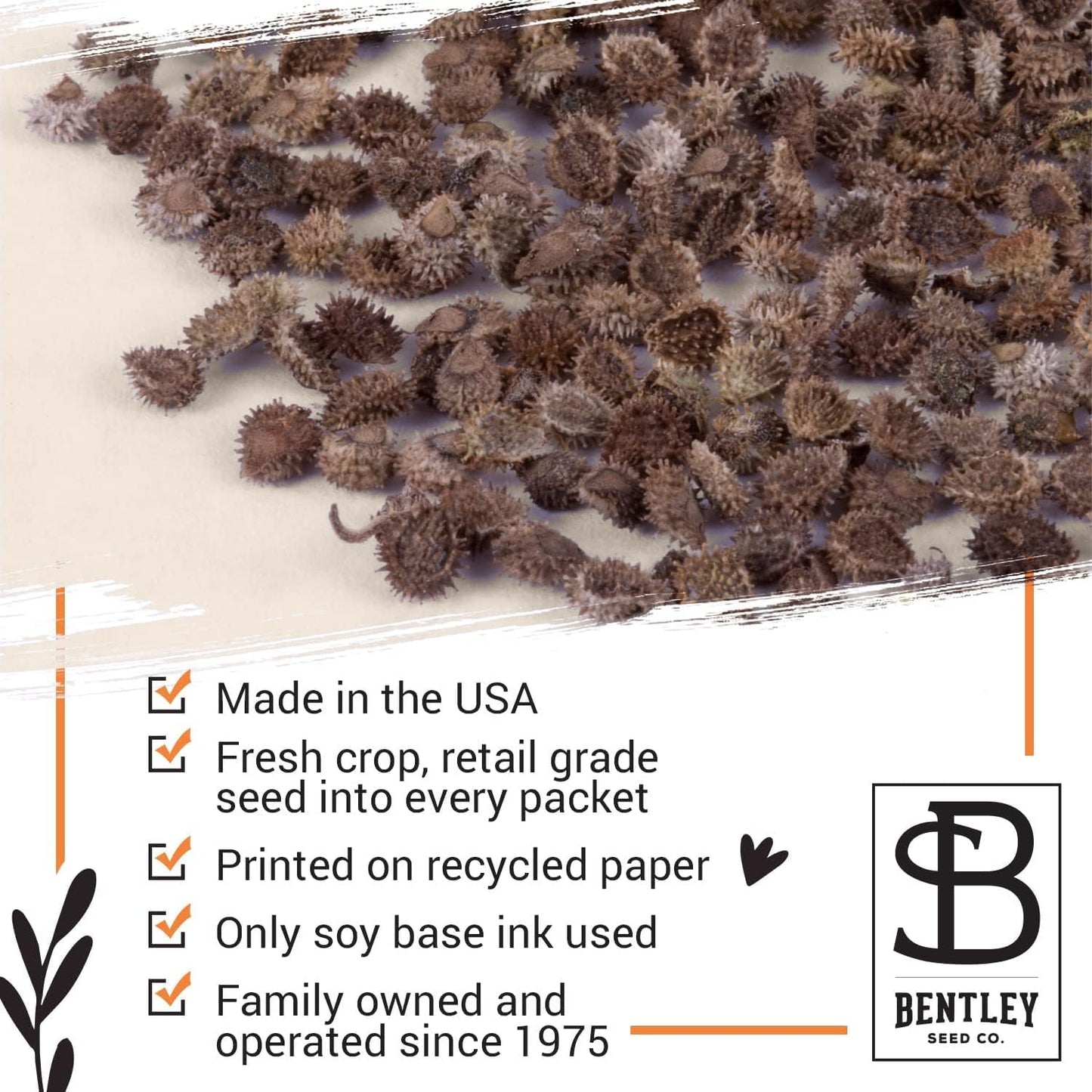 Bentley Seed Co. | Seeds of Remembrance | Pre Filled Non-GMO, Non-Coated Forget Me Not Seeds Packets | Perfect Memorial Service Giveaways and Celebration of Life Decorations | Pack of 25