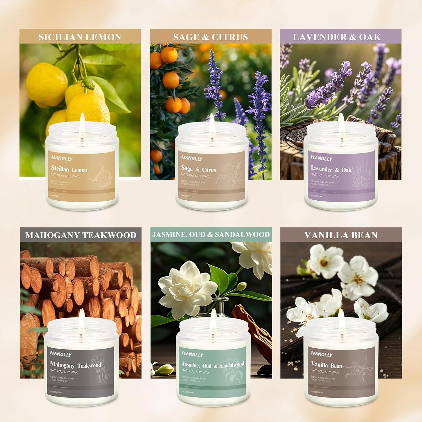 12 Pack Candles for Home Scented, Aromatherapy Candles Gifts Set for Women, Lavender, Vanilla, Rose,Eucalyptus Candle, 42OZ Natural Soy Wax Long Lasting Jar Candle, Birthday, Thanksgiving Day Present