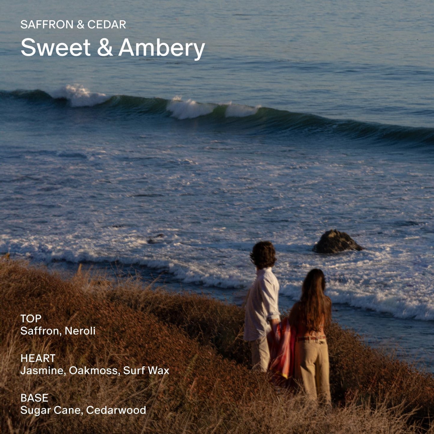 SALT & STONE Scented Candle for Women & Men | Hand-Poured, Aromatic & Fragrant | Coconut & Soy Blend Wax | 100% Cotton Wick | Long-Lasting 50 Hour Burn Time (8.5 oz) (Saffron & Cedar)