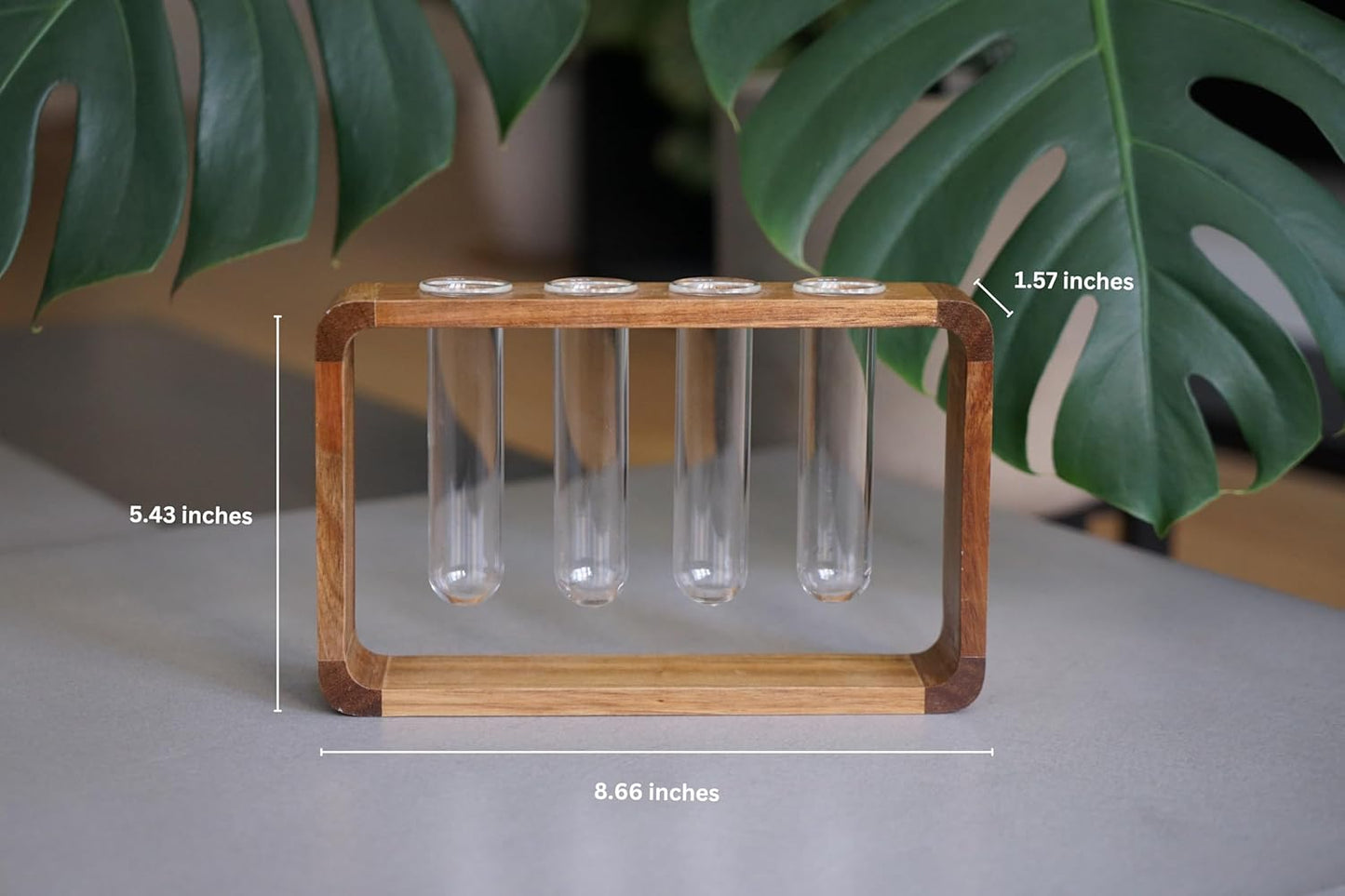 Source & Plot - Plant Propagation Station - Acacia Wood Stand 4 Glass Test Tube Hydroponic Tabletop Rooting Terrarium Planter Rack Home and Office Decor - Last Batch