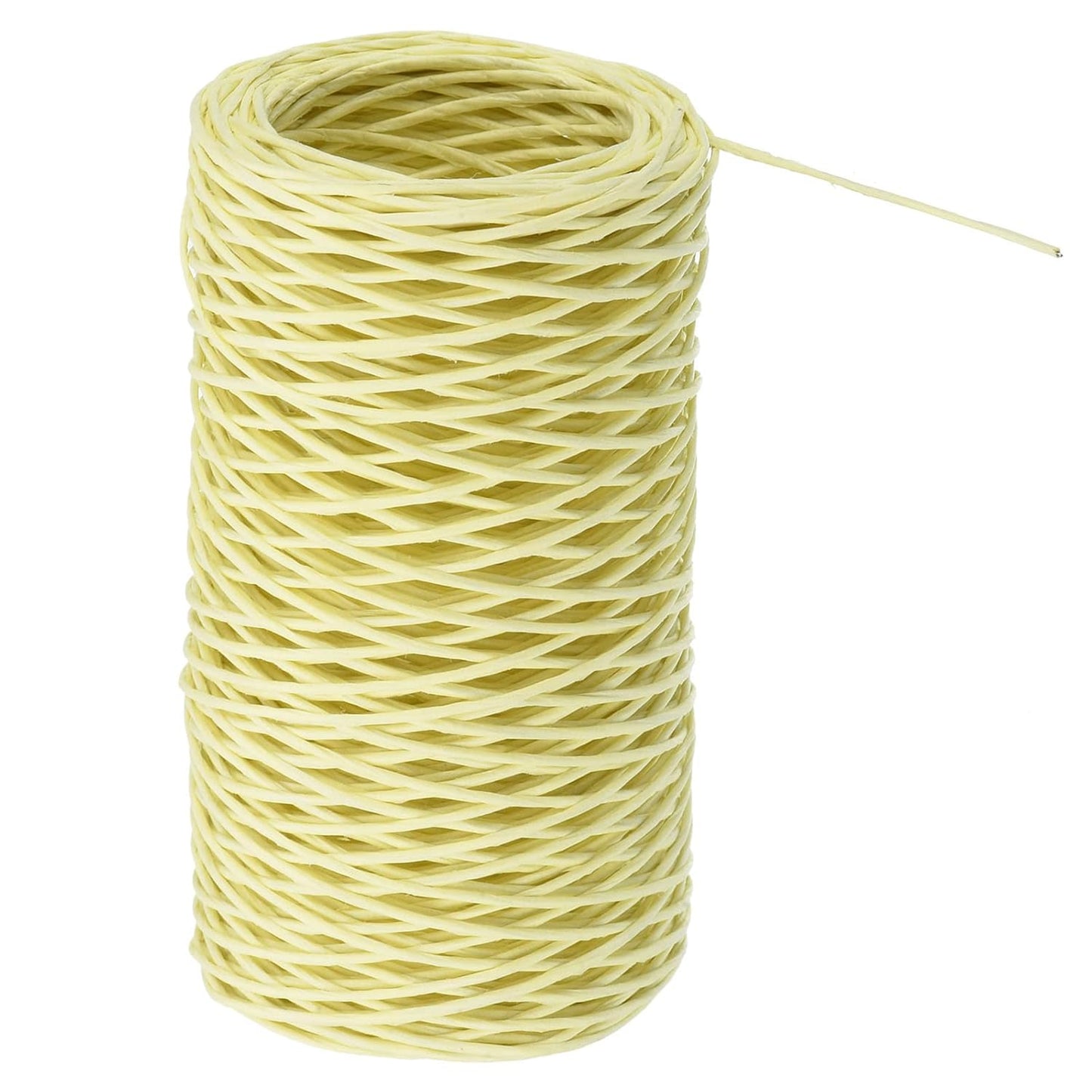 PATIKIL 164 Feet Floral Bind Wire Wrap Twine, 1mm Florist Wire Iron Wire Paper Covered Vine Wrapping Binding Wire for Flower Bouquets, Cream