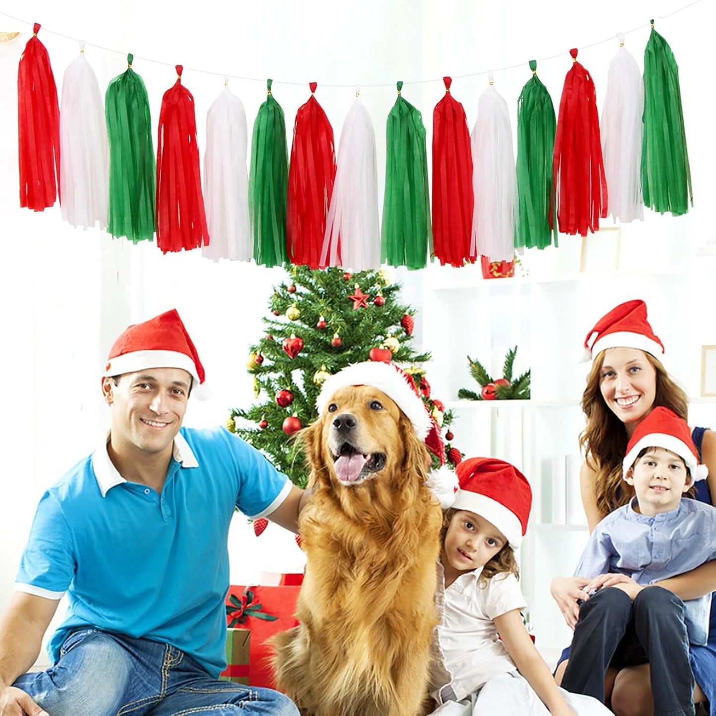 Red-Green White Christmas Party-Decorations - 33pcs Banner,Mexico Italy Streamers Tassel Garland,Tissue Pom Poms Honeycomb,Paper Lantern Fans,Mexican Italian Birthday Wedding Baby Shower Decor Hugtmr