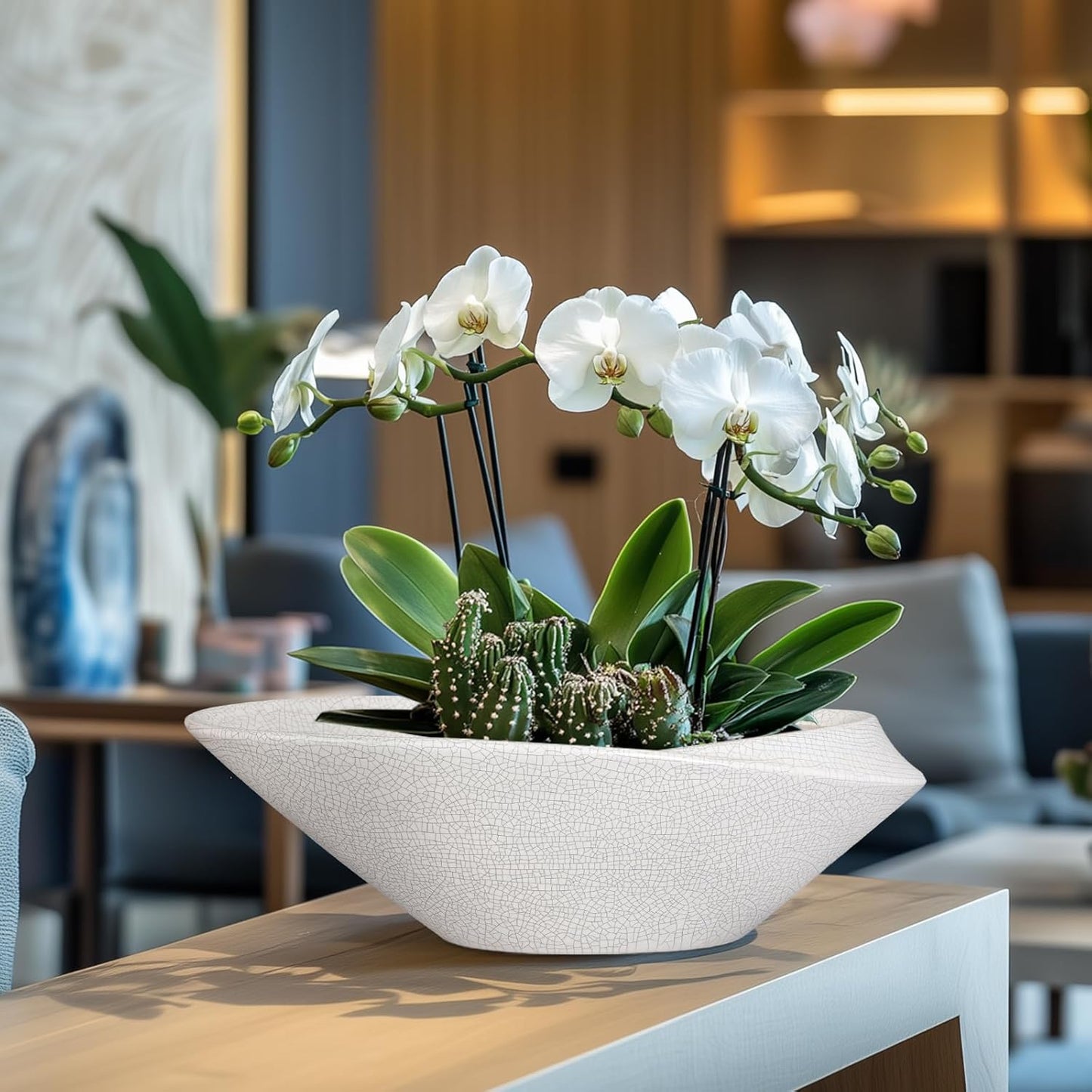 Bonsai Tree Pot - 12 Inch Ceramic Planter with Drainage Hole, Modern Succulent Pots for Indoor & Outdoor, Decorative Planter for Home Decor, Plant Lover Gifts, White-Black