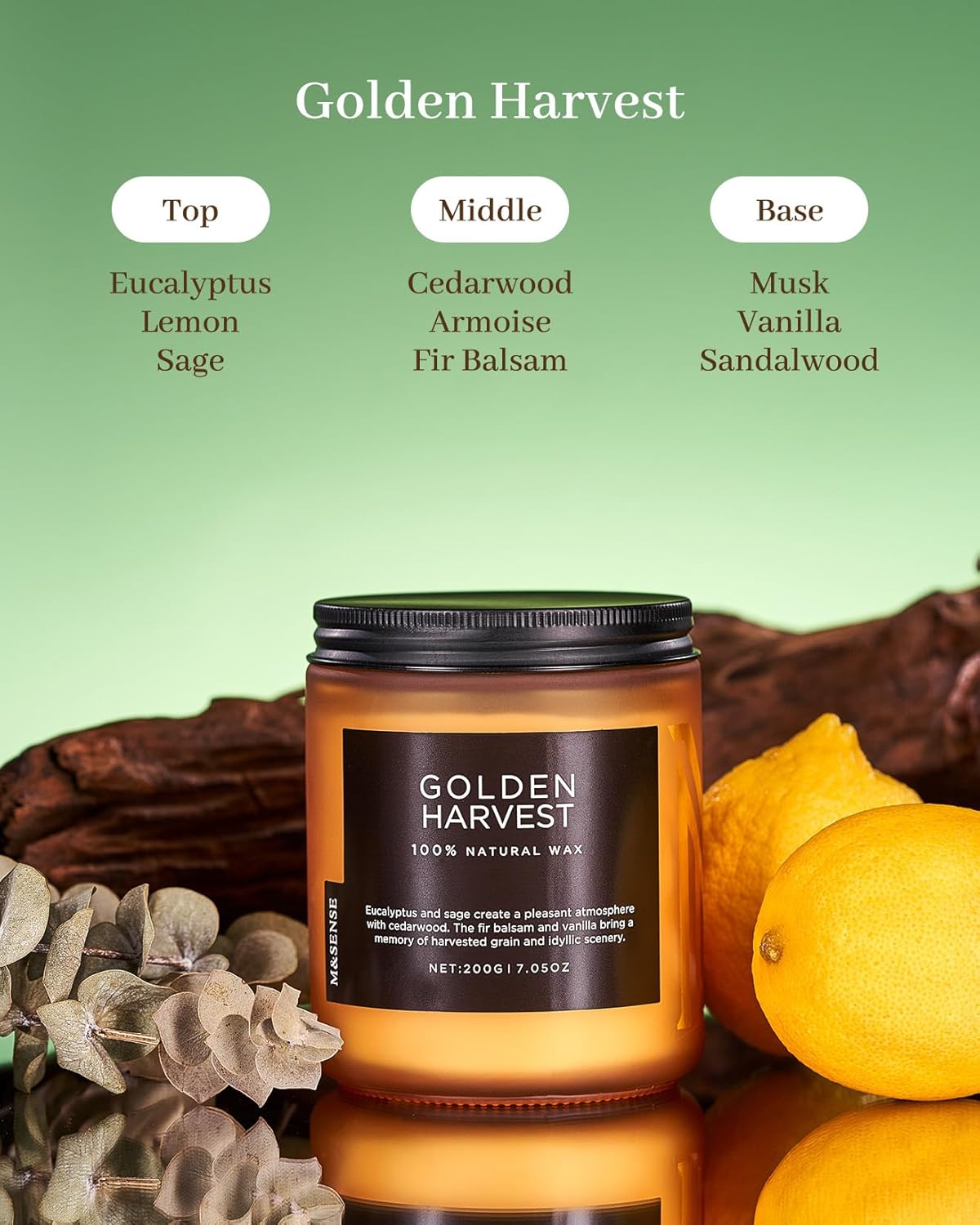 M&SENSE Golden Eucalyptus & Sage Highly Scented Candle, All Natural Soy Wax 2 Cotton Wick 7.05oz 50 Hours Slow Burning Candle Gifts for Birthday Holiday, Decorative for Home