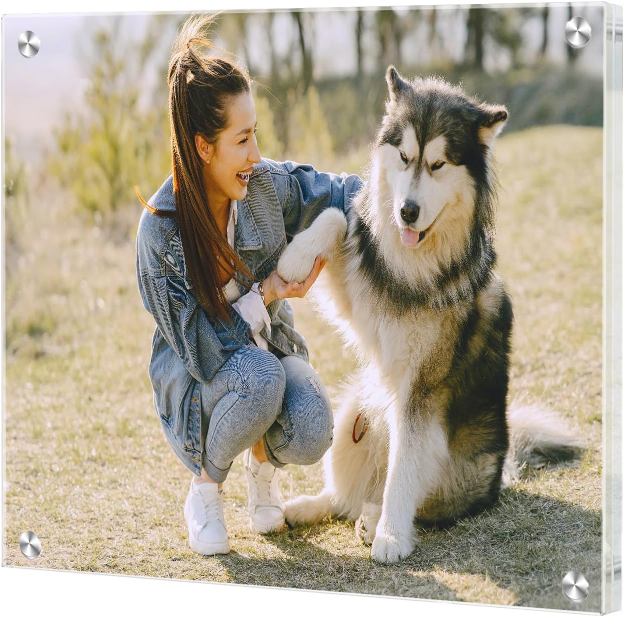 16x20 Acrylic Floating Art Frame for Wall Mount, Clear Magnetic Picture Frame for Artwork Display,Certificates Documents Frames for Family,Office,Wedding