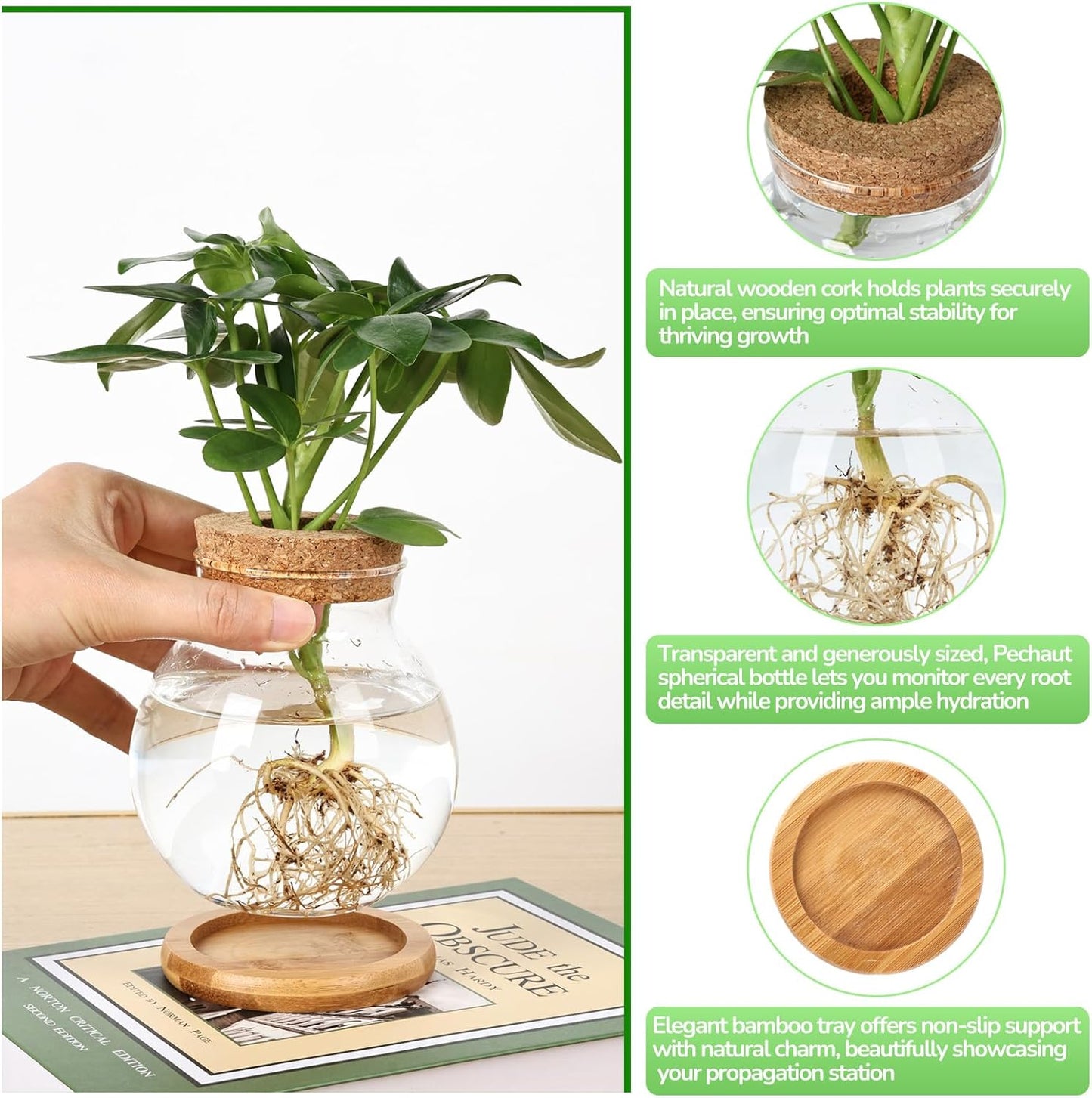 Propagation Station, Larger Capacity Ball Vase with Base for Hydroponic Plants, Home/Office Decor & Gift for Plant Lovers, 2pcs Glass Terrariums