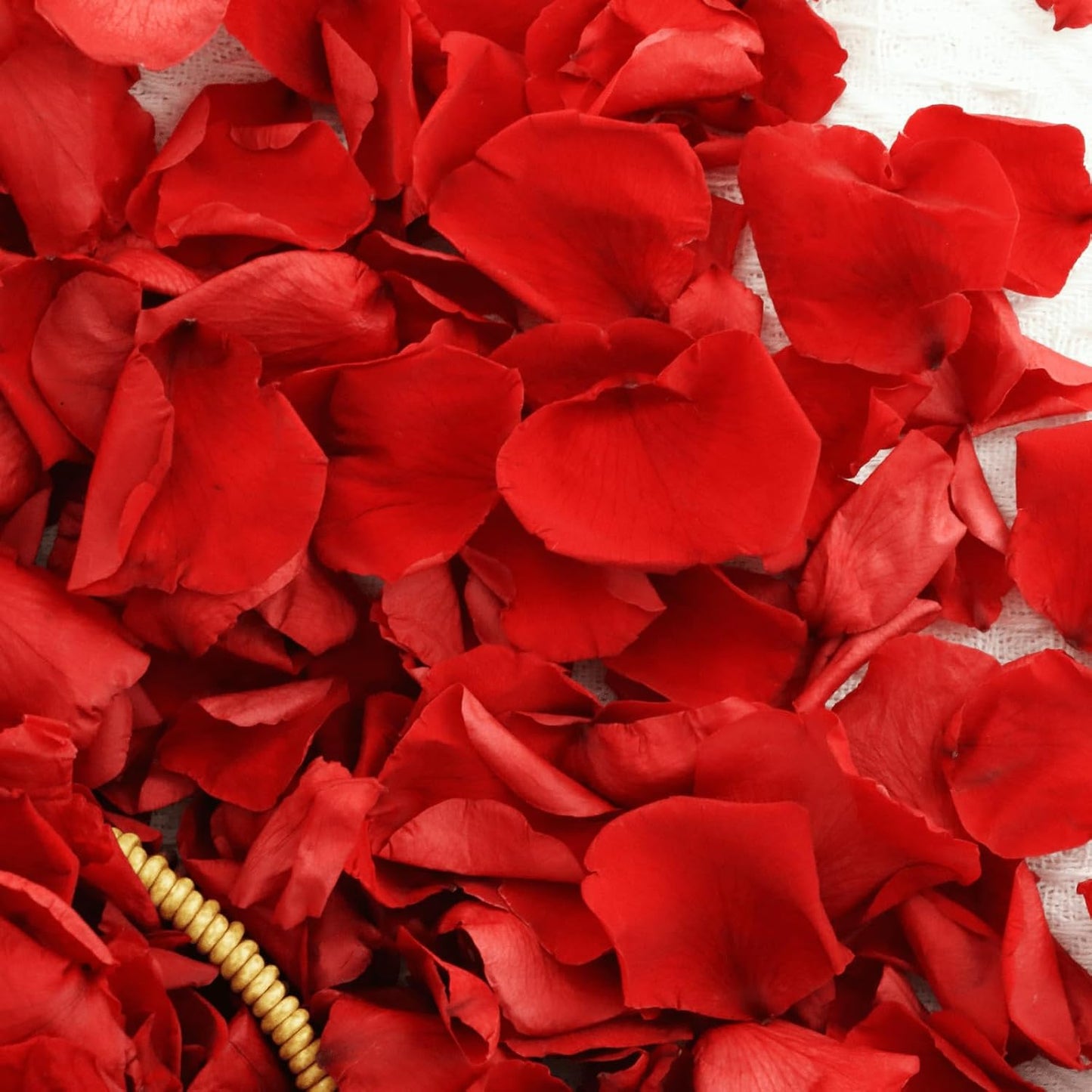 200Pcs Dried Real Red Rose Petals, Preserved Flower Petals 1.75oz for Gifts Wedding Party Decor, Dinner Table Centerpieces, Bridal Shower, Confetti