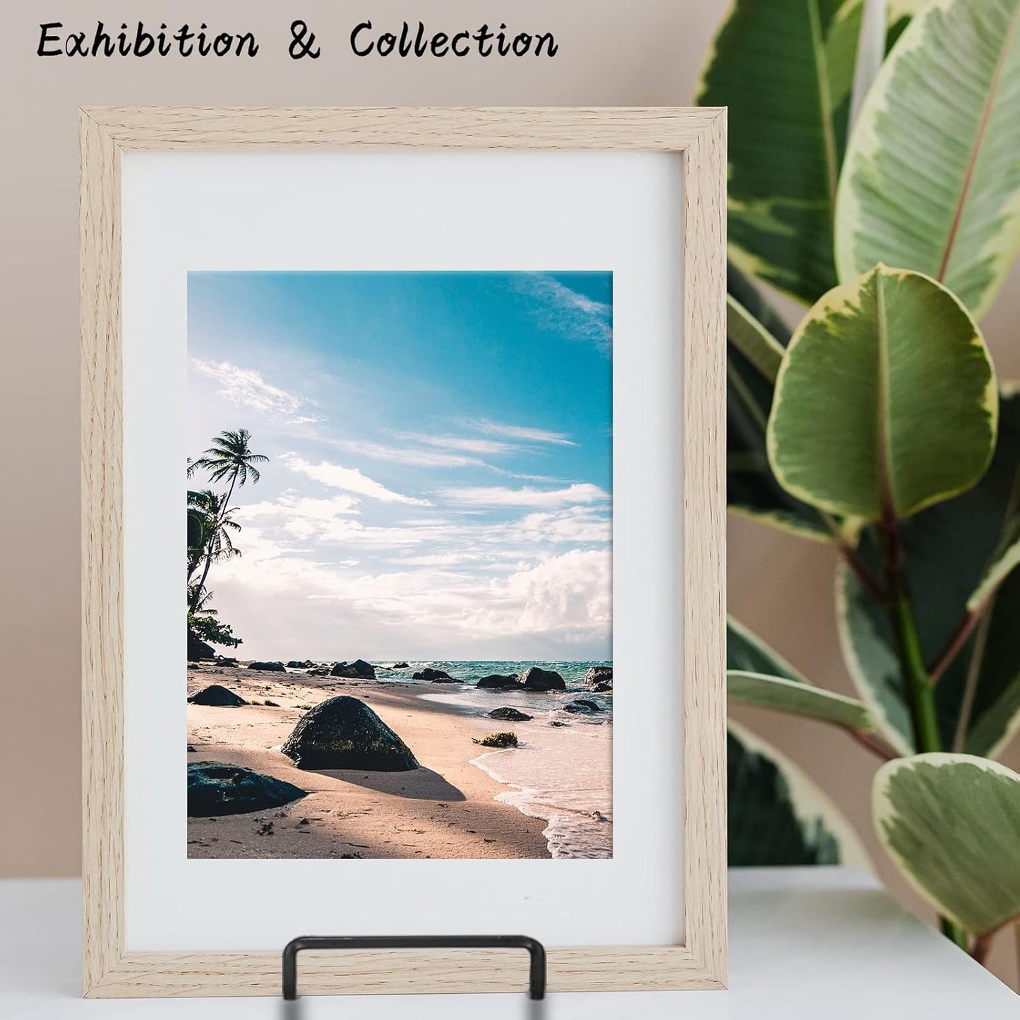 Decolore 4 Pack 8.5 Inch Black Picture Stands for Display Square Plate Holder Display Stand Frame Stand for Picture, Decorative Plate, Photo Easel and Artistic Work