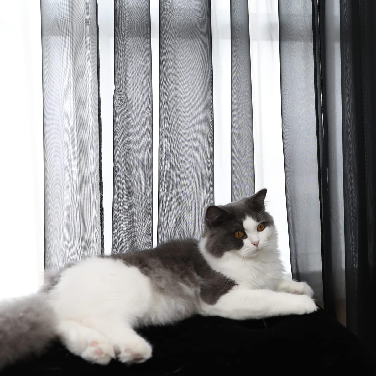 Window Black Sheer Curtains 90 Inches Long 2 Panels Sheer Curtain Basic Rod Pocket Panel for Bedroom Children Living Room Yard Kitchen (Black, 52" W x 90" L | 2 pcs)