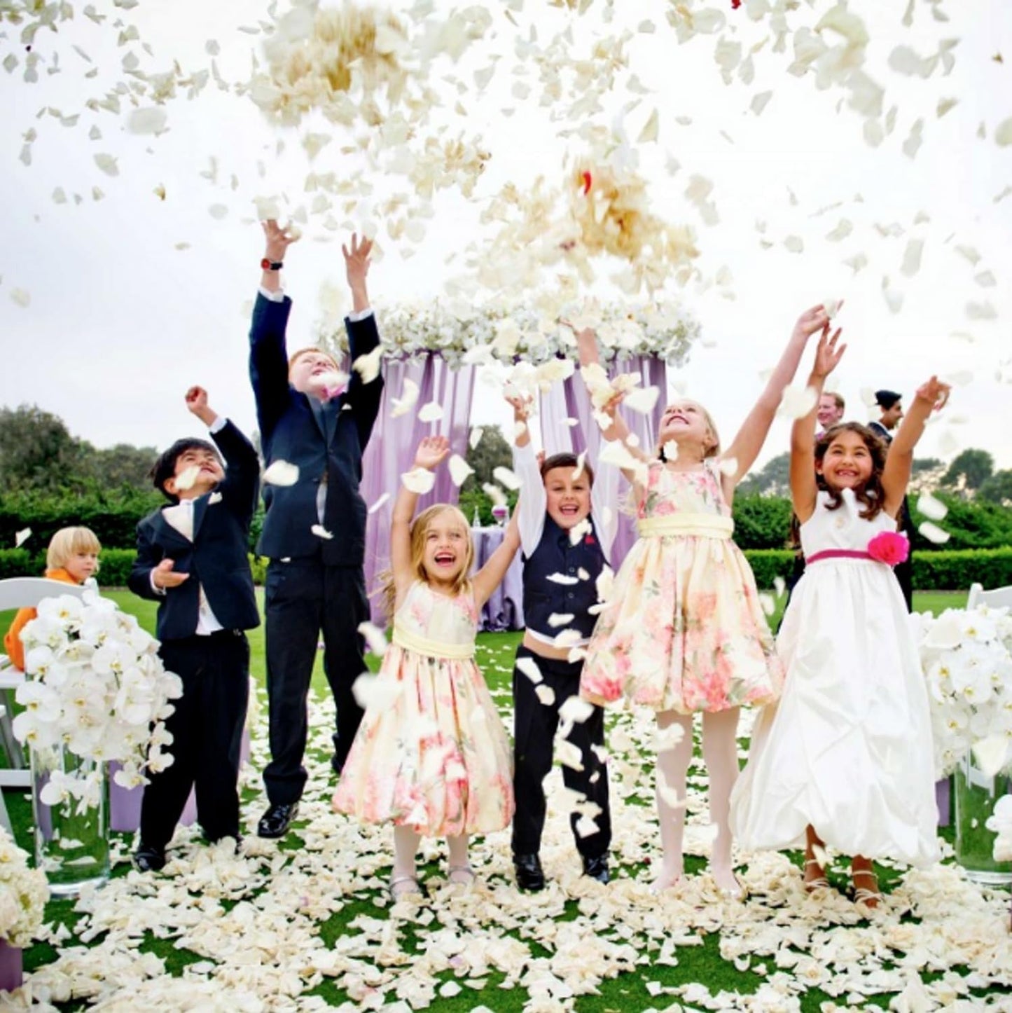 CODE FLORIST 2200 PCS Silk Flower Rose Petals for Wedding Decorations (Ivory)