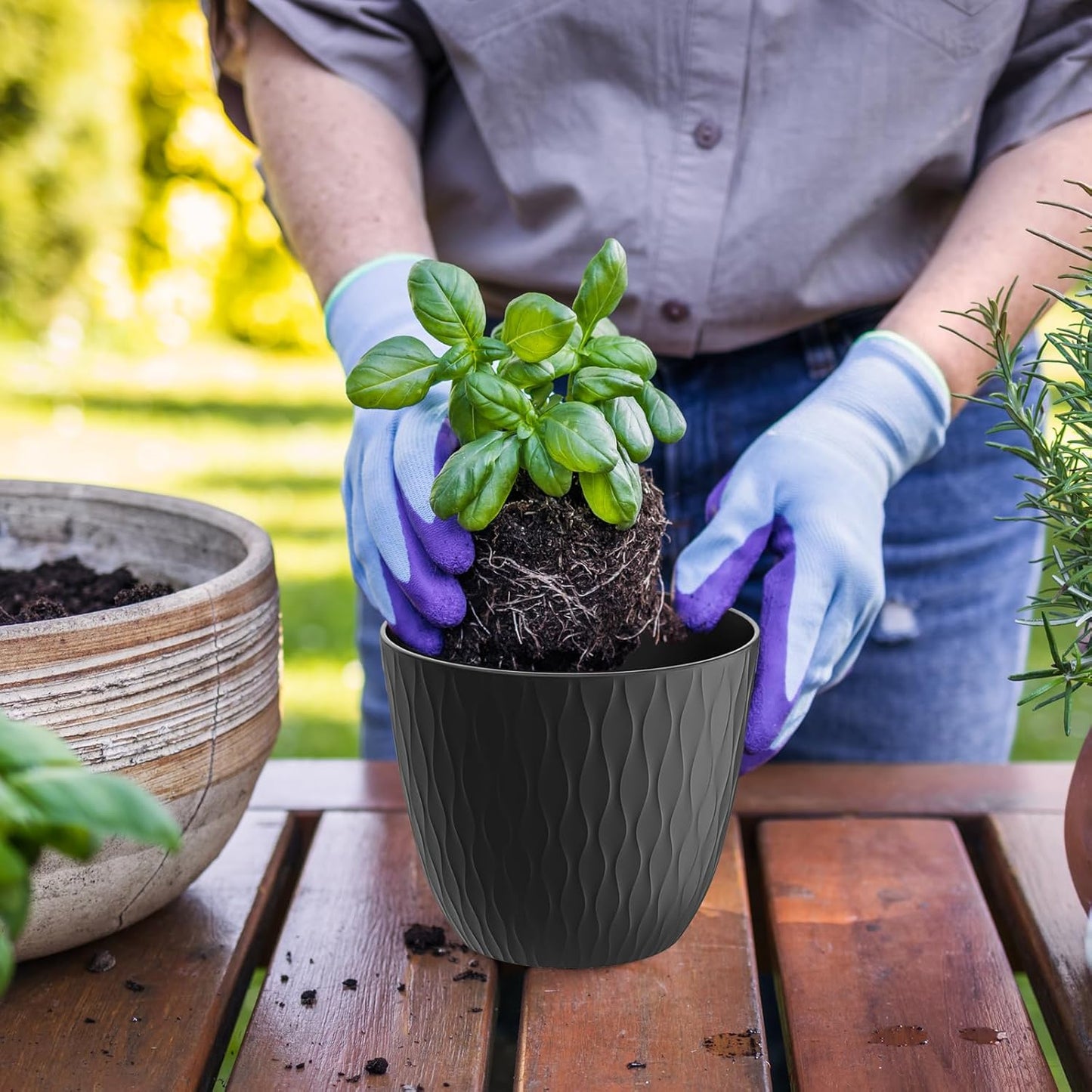 6 inch Plant Pots, 5 Pack Flower Pots with Drainage Holes and Saucers for Indoor Plants, Plastic Planters with Water Ripple for Small Garden House Plants, Nursery Pots for Succulent, Black
