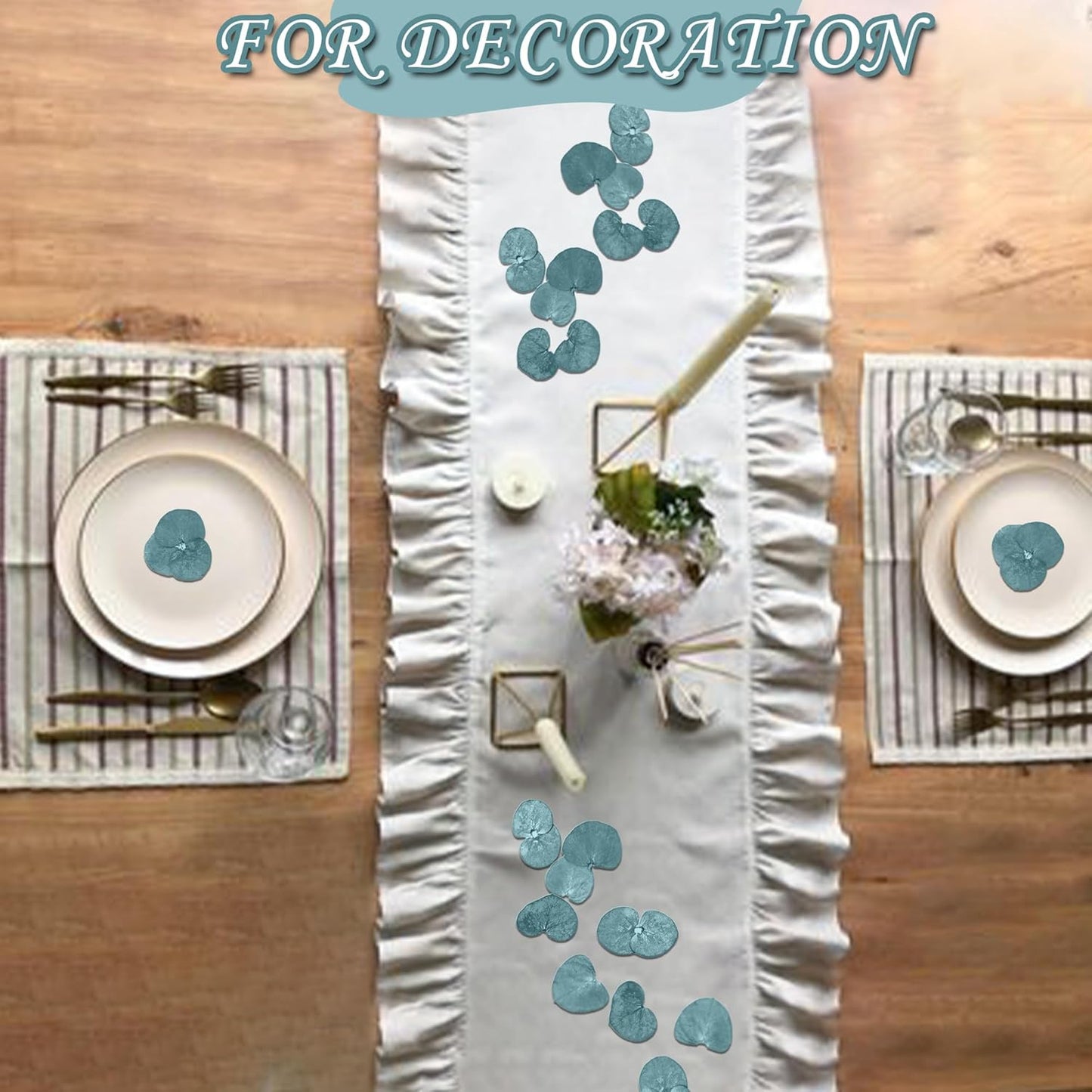 3200Preserved Real Eucalyptus Leaves Small, Pure Natural Bulk Eucalyptus, Biodegradable Wedding Leaves Confetti for Anniversaries, Birthday, Graduation, Bridal Showers, Party Decor