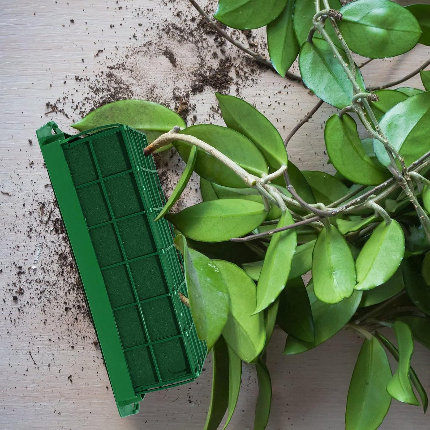 Boao 8 Pieces Floral Foam Cage Holder with Floral Foam for Fresh Flowers Cage Bowl for Table Centerpiece Flower Arrangement, Rectangle, 11.8 x 4.7 x 3.1 Inch