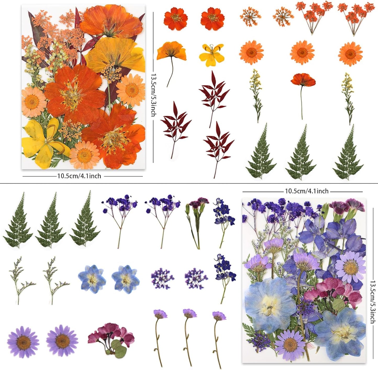 80 Pcs Dried Pressed Flowers for Crafts, Real Natural Dried Pressed Flowers in Vibrant Multicolor Tones for Resin, DIY Art, Jewelry, Candle & Soap Making – Tweezers Included