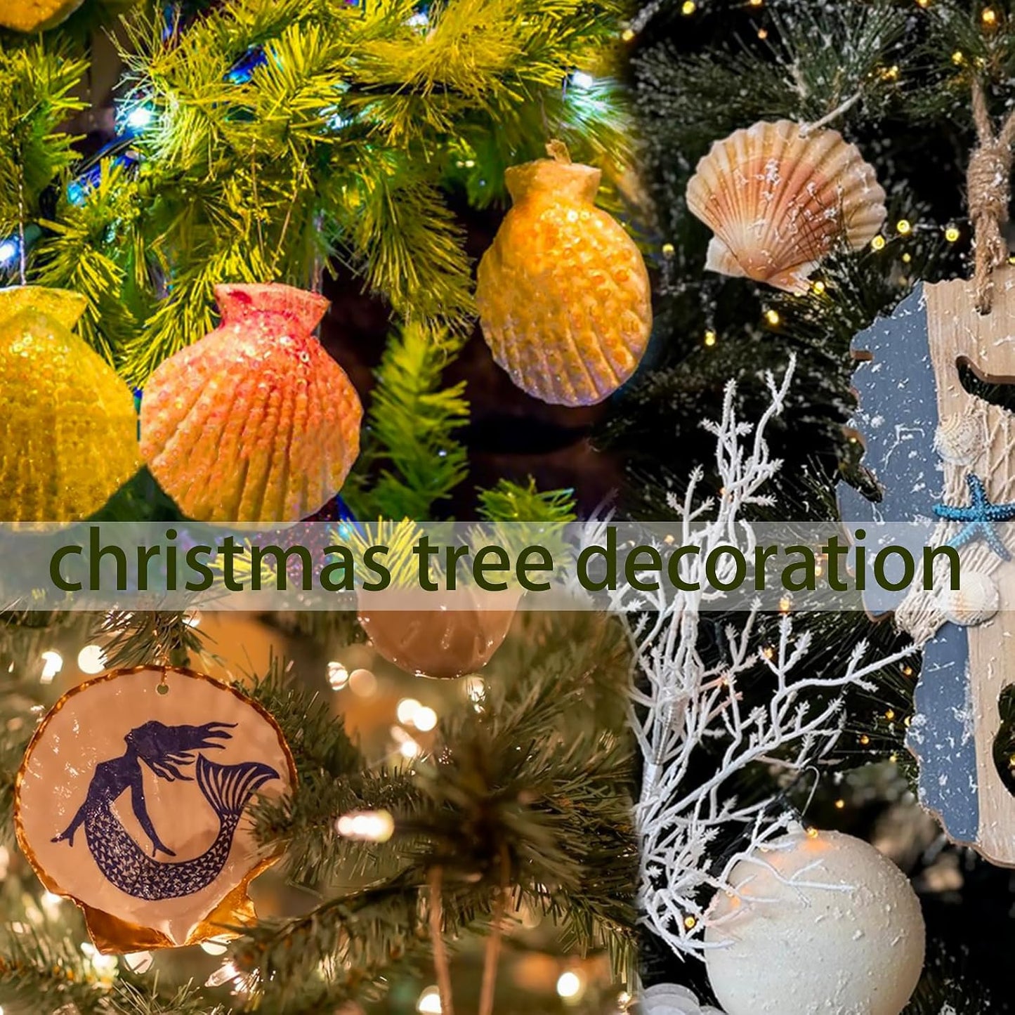 16PCS Sea Shells Scallop Shells Natural White Sea Shells for DIY Craft Crafting,Painting,Baking,Home Decor and Beaching Wedding Decoration (10-12CM) Seashells Bulk