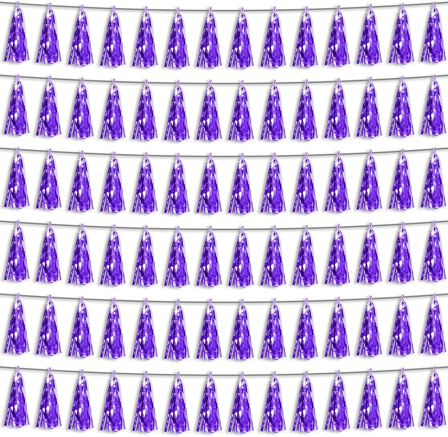 6P Purple Foil Fringe Metallic Tassel Streamers Banner Tassel Garland for Parade Floats, Bachelorette, Wedding, Birthday, Graduation, Christmas, Bridal/Baby Shower Party Decorations