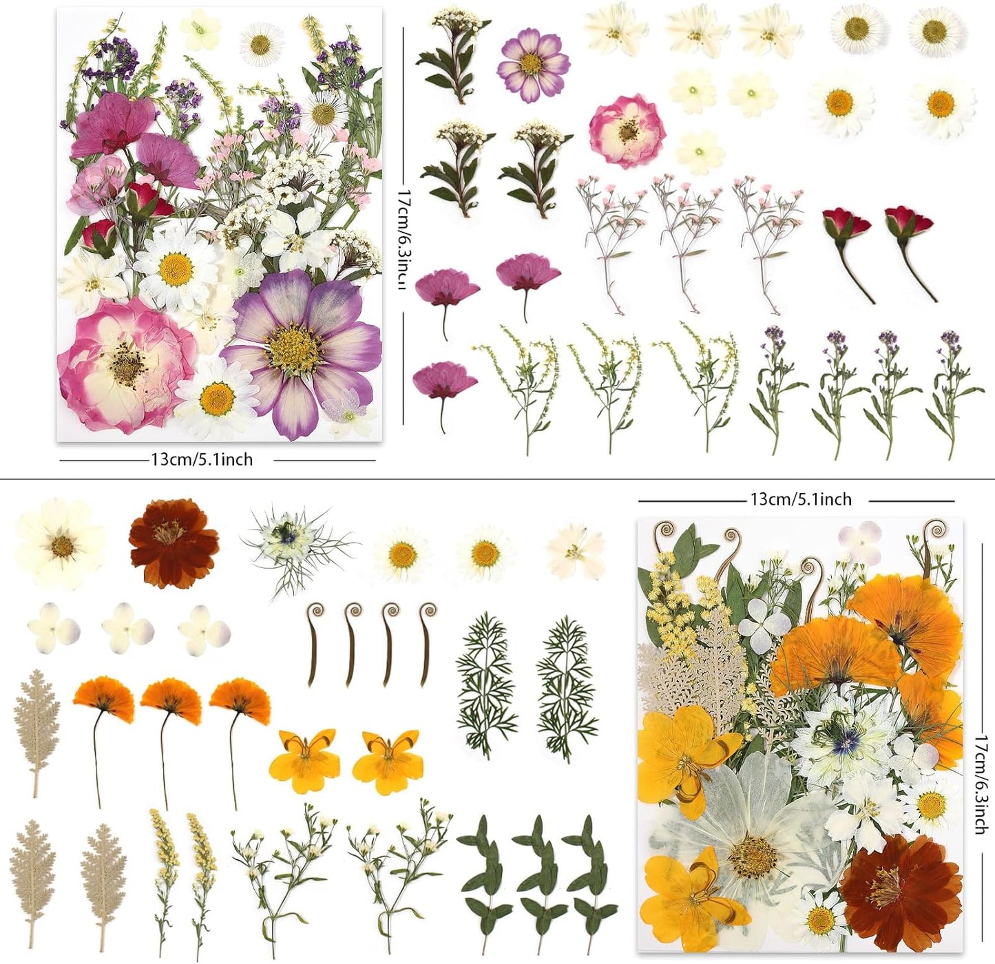 120P 4-Color Mixed Foliage Dried Flowers for Crafts, Real Natural Pressed Flowers for Resin Art, DIY Crafts, Jewelry & Candle Making – Tweezers Included