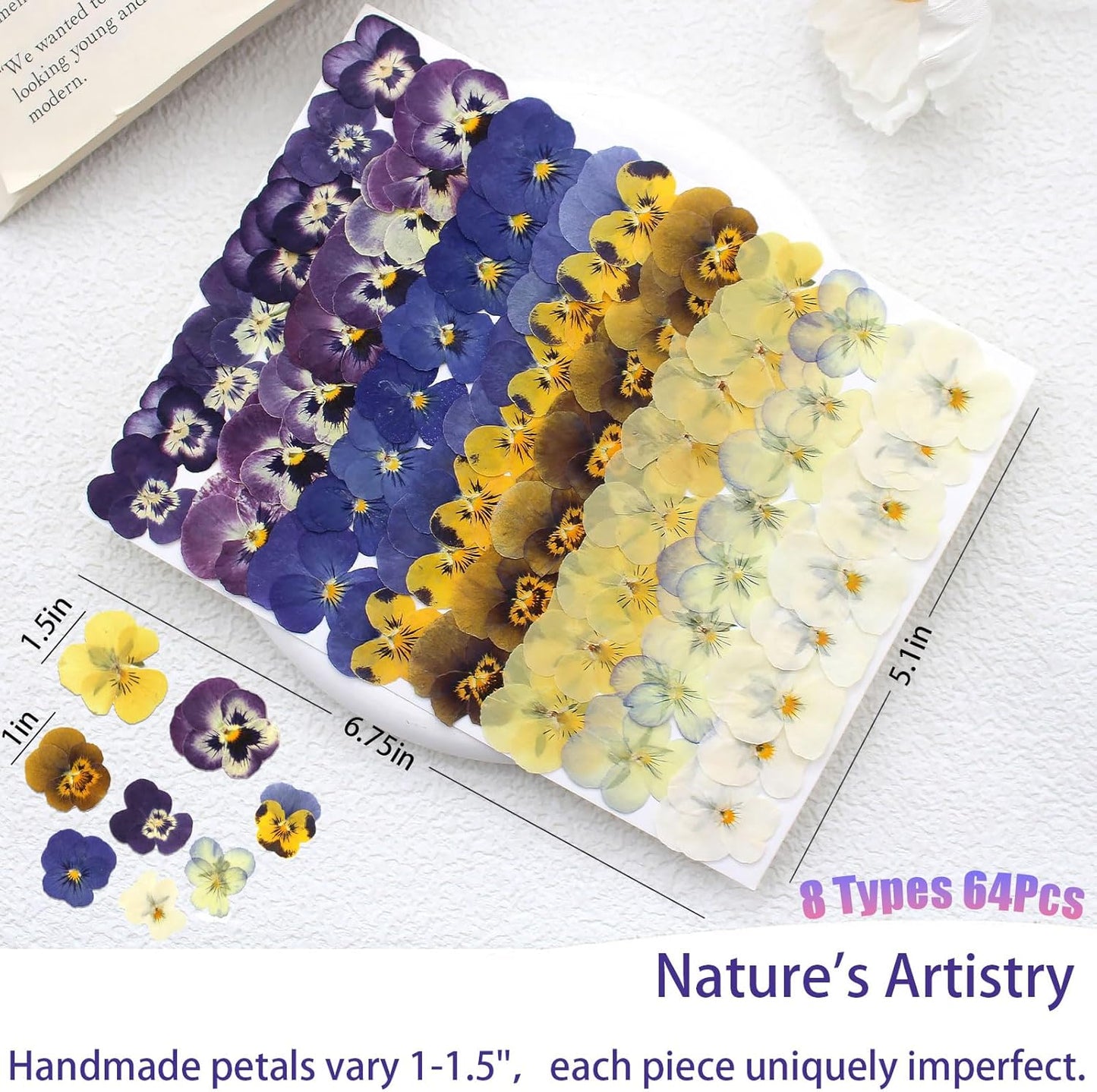 64 Pcs Dried Pressed Viola Flowers, 8 Color Gradient Purple Blue Yellow White, for Resin DIY Art Jewelry Candle & Soap Making with Tweezers Included