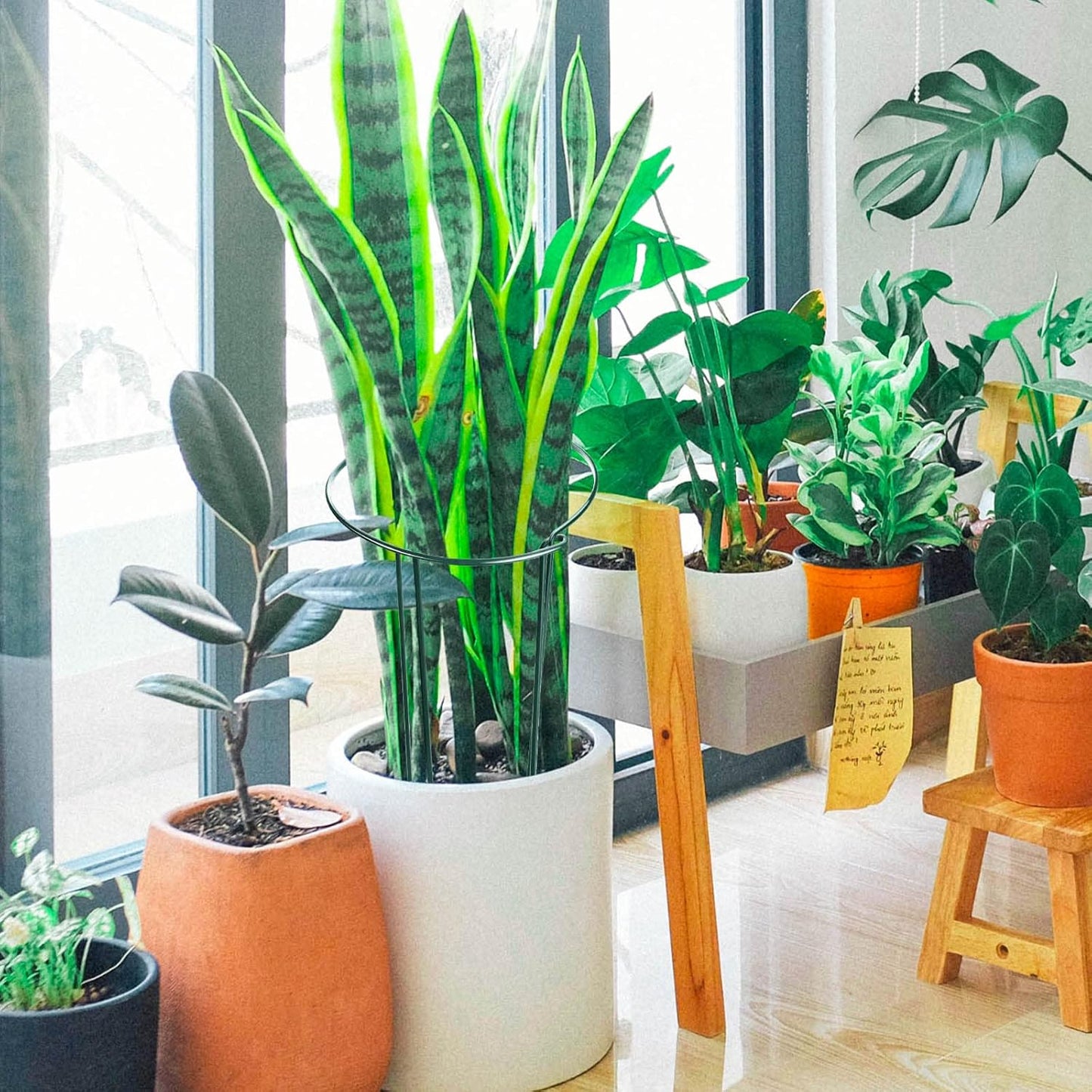 HiGift 12 Pack Plant Stakes for Indoor Plants, Metal Garden Peony Support Cages, Outdoor Plant Supports Ring Prop, Large Plant Stake for Hydrangea,Rose,Flower,Vine,Potted Plants (10" W x 24" H)