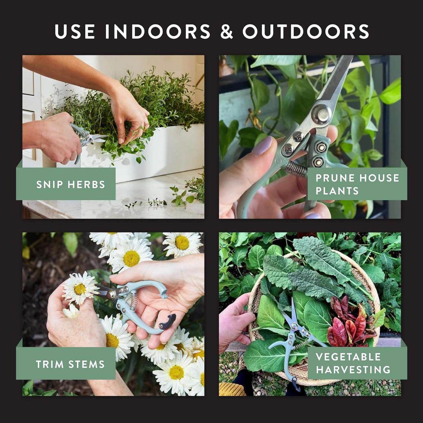 Modern Sprout Pruning Shears - Herb Snipping Scissors- Lightweight Gardening Tools W/Easy Lock - Flower Cutter Garden Shears - Carbon Steel Blade + Reusable Holster (Lavender, 1-Pack)