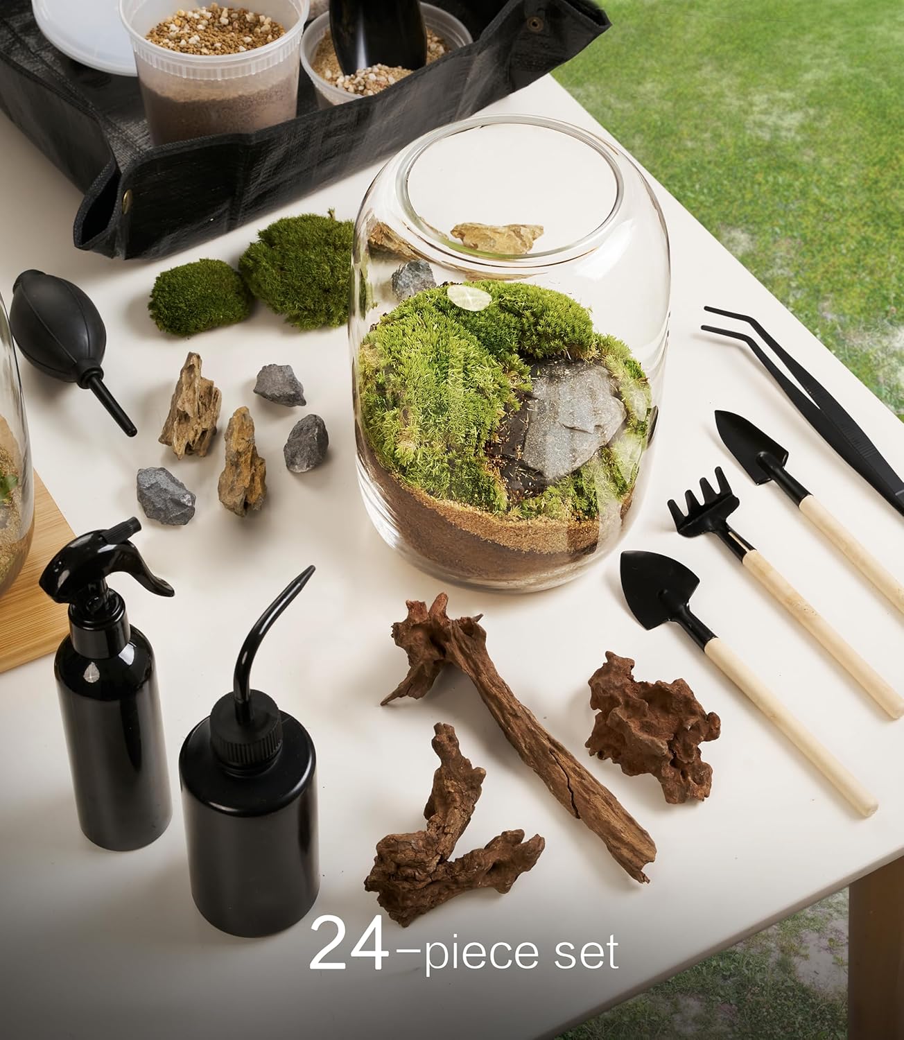 Terrarium Kit with Grow Light, Succulent Plants, Mini Gardening Set - Includes Jar, Tools, Moss, Rocks, Driftwood & Decor